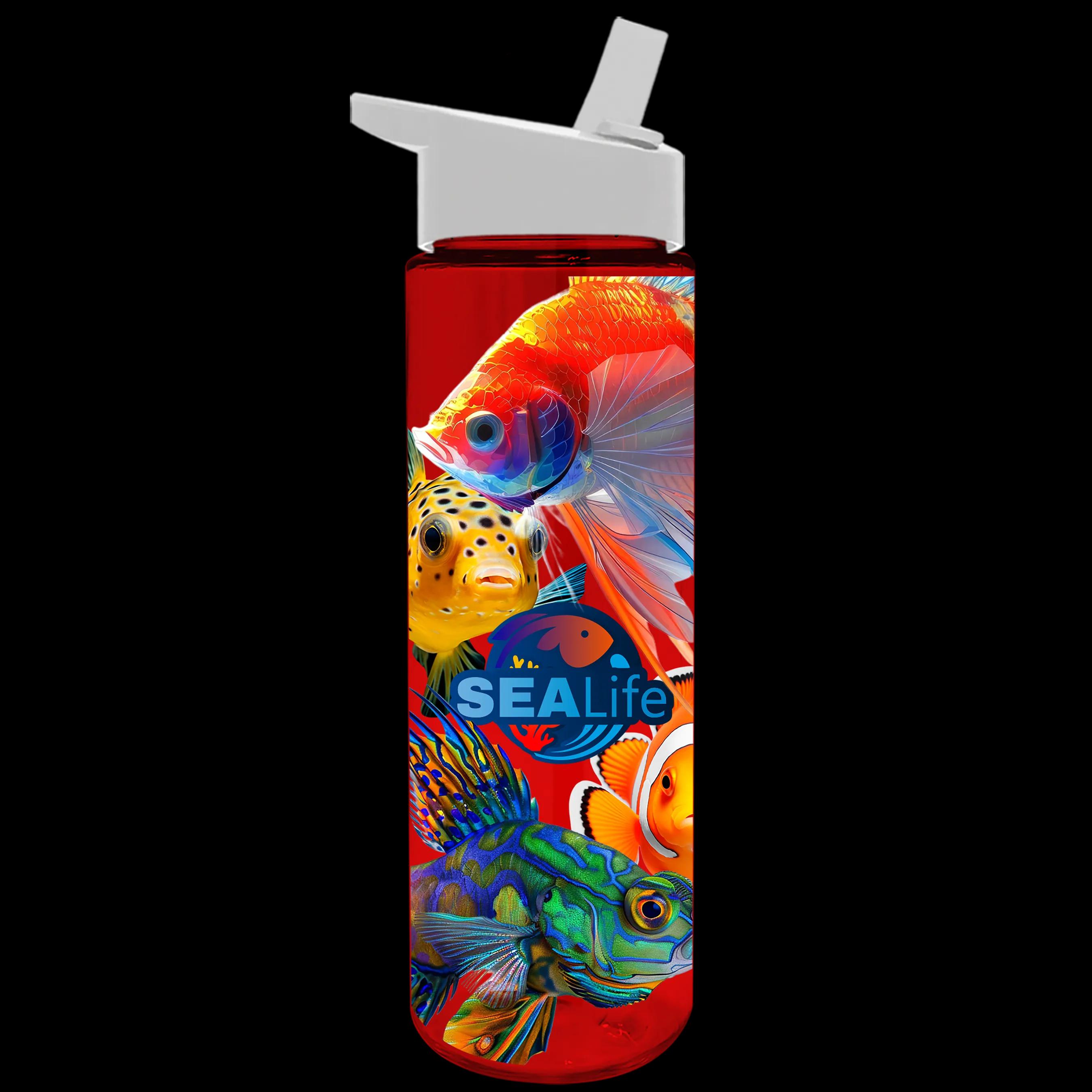 Garyline® Freedom Tritan® Bottle with Flip-Straw Lid - 28 oz. 172 of 241