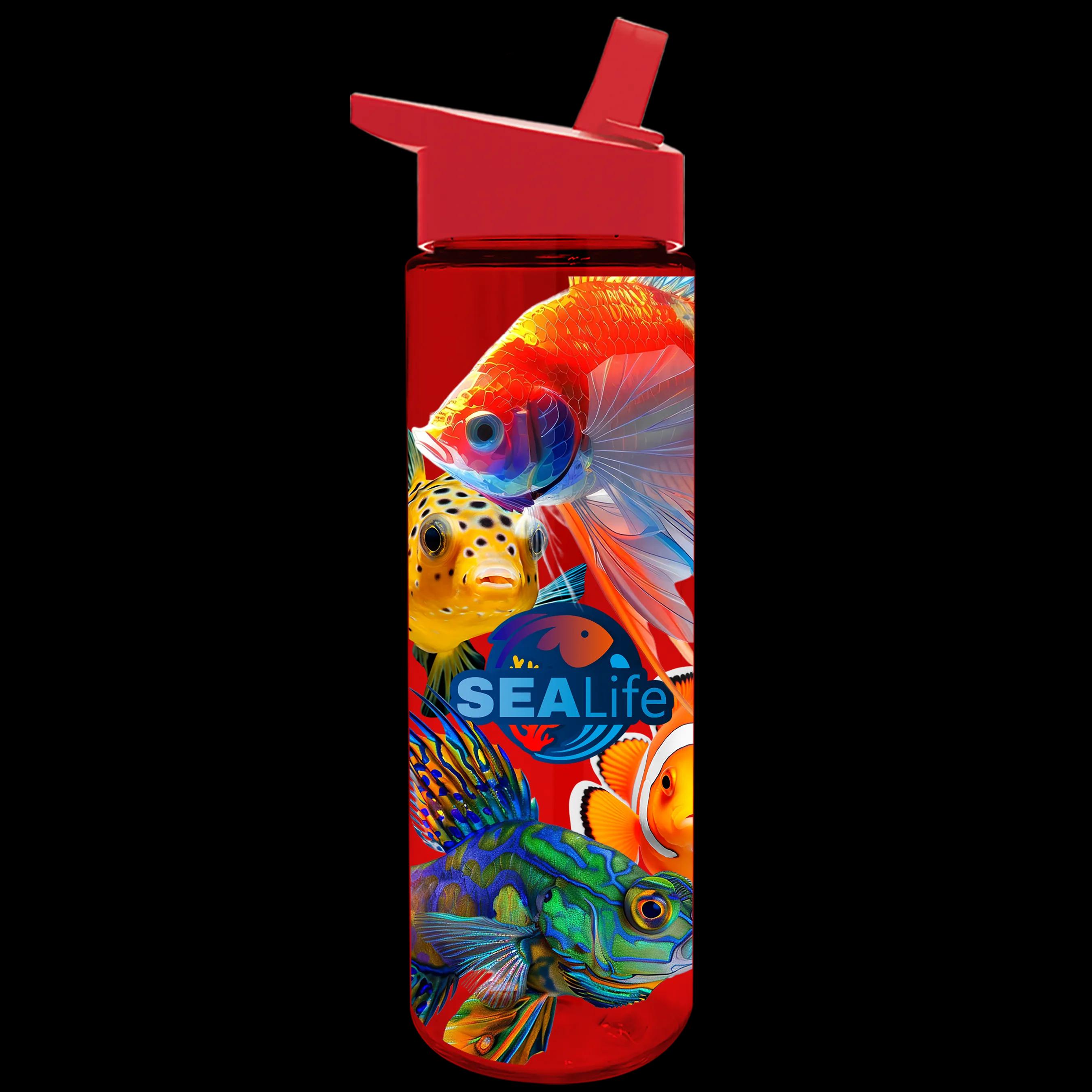 Garyline® Freedom Tritan® Bottle with Flip-Straw Lid - 28 oz. 166 of 241