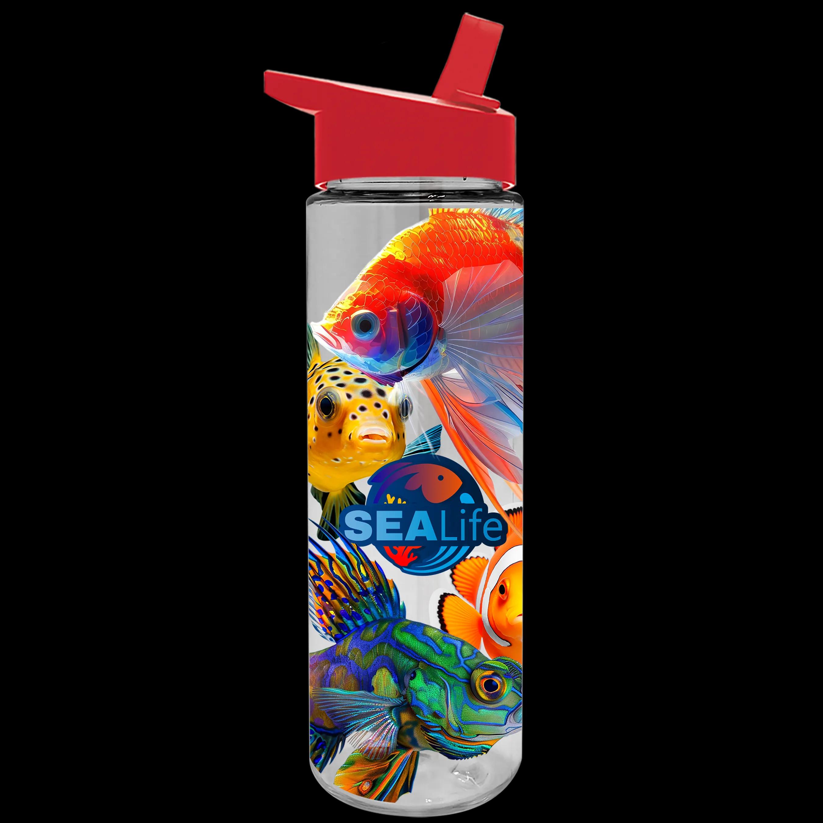 Garyline® Freedom Tritan® Bottle with Flip-Straw Lid - 28 oz. 74 of 241