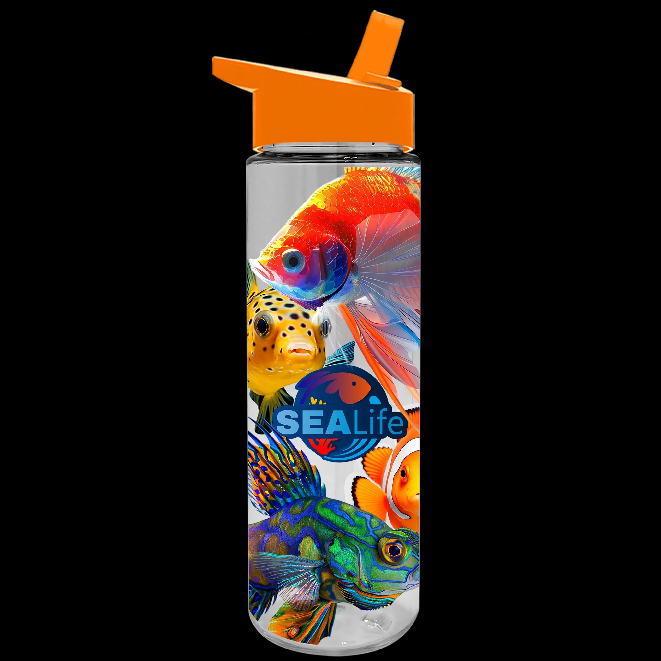 Garyline® Freedom Tritan® Bottle with Flip-Straw Lid - 28 oz. 72 of 241