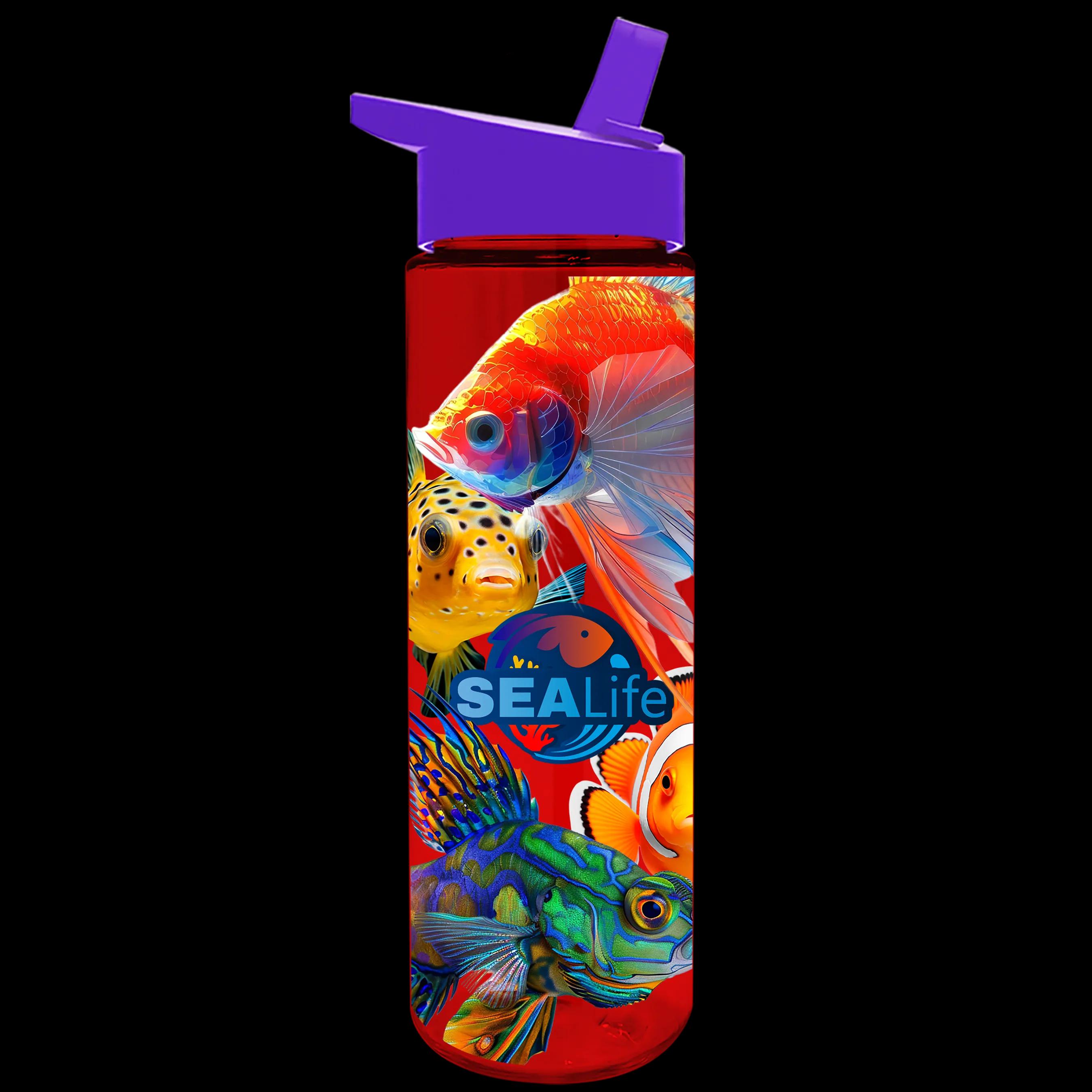 Garyline® Freedom Tritan® Bottle with Flip-Straw Lid - 28 oz. 170 of 241