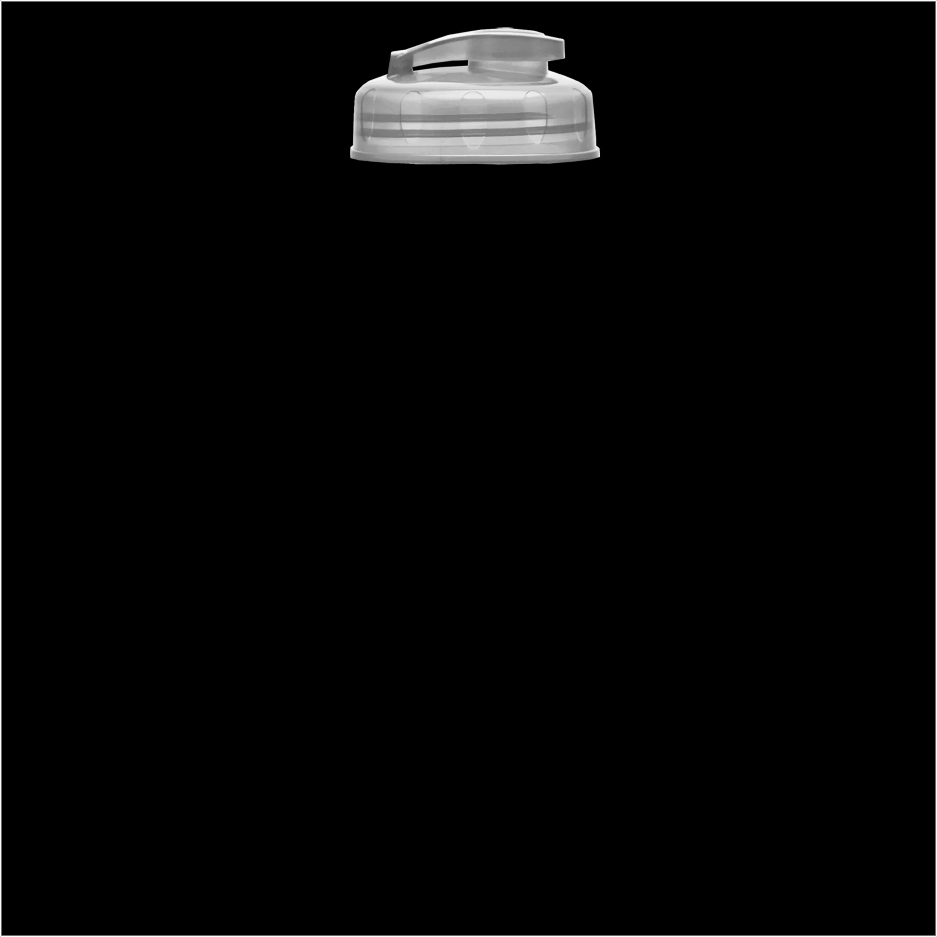 Garyline® Champ Recycled Bottle with Flip-Top Lid - 28 oz. 367 of 474