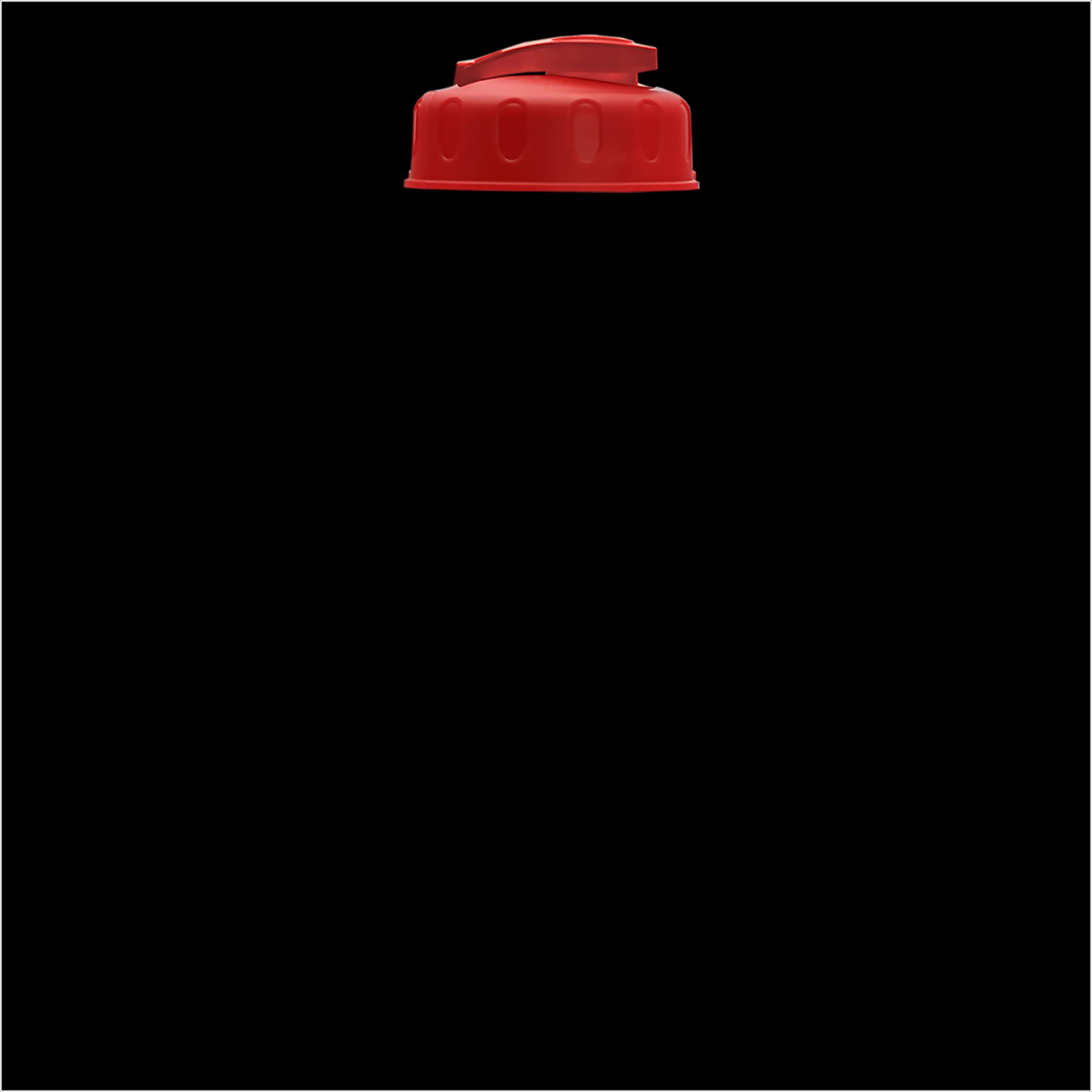 Garyline® Champ Recycled Bottle with Flip-Top Lid - 28 oz. 368 of 474