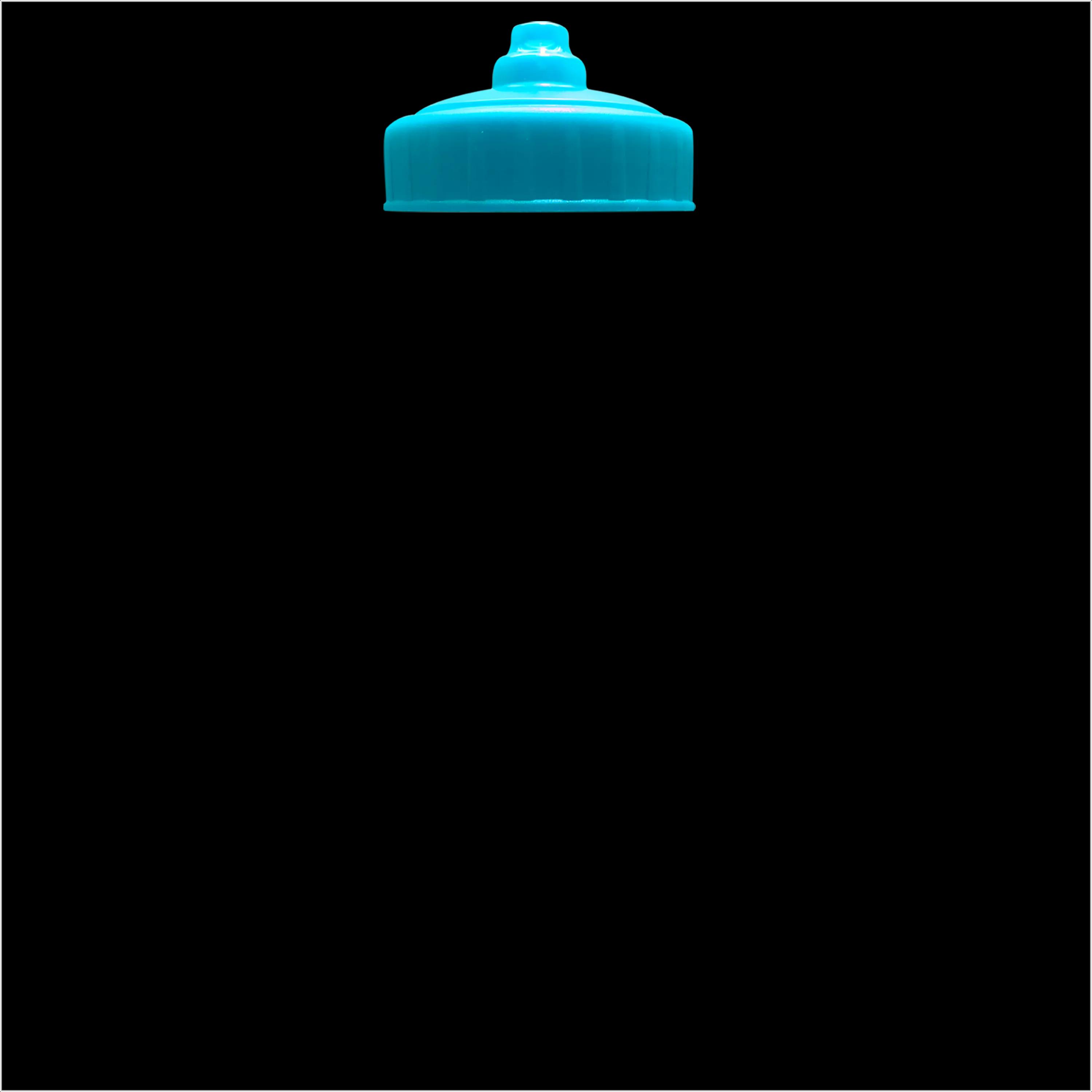 Garyline® Quart Sport Bottle with Valve Lid - 32 oz. 99 of 131
