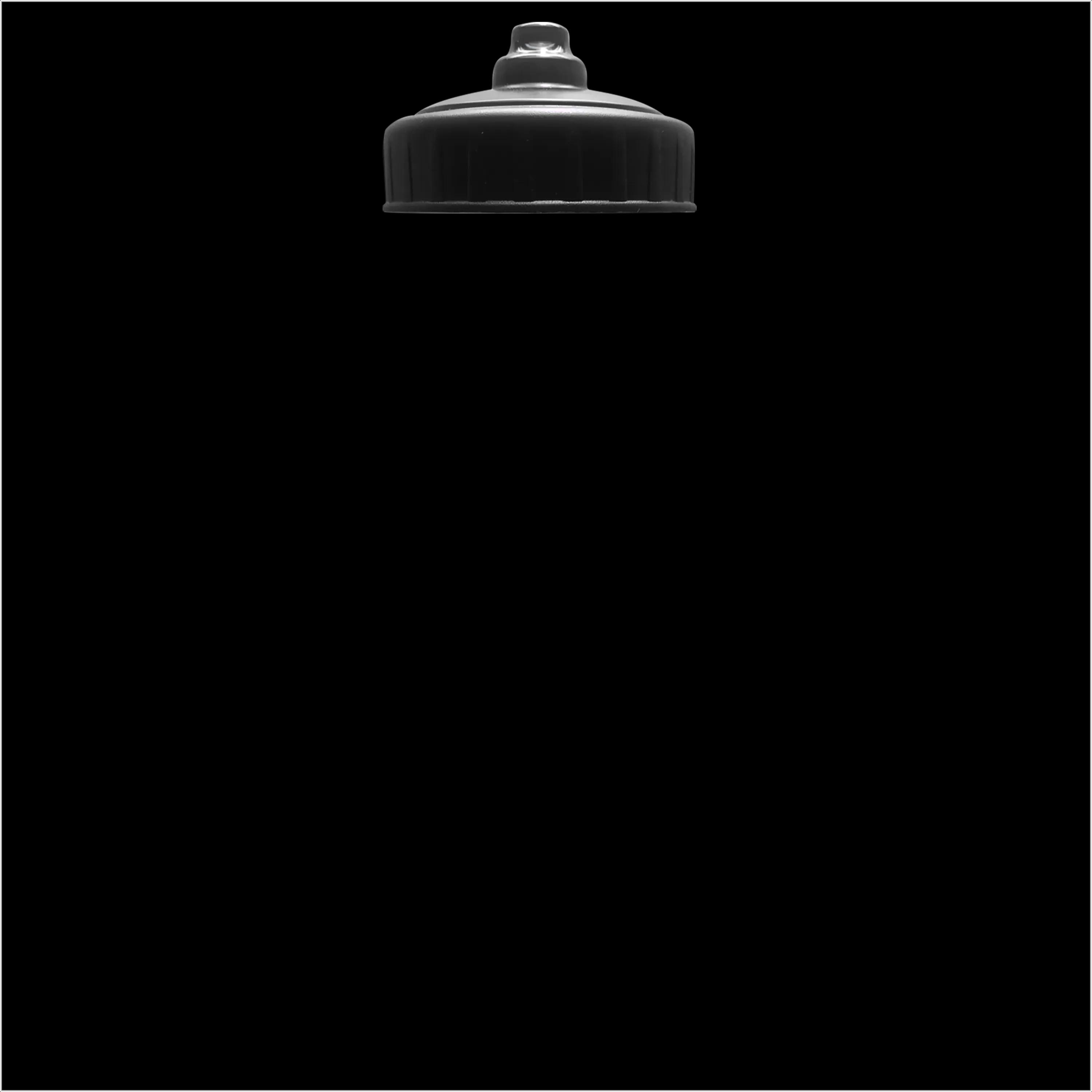 Garyline® Quart Sport Bottle with Valve Lid - 32 oz. 98 of 131