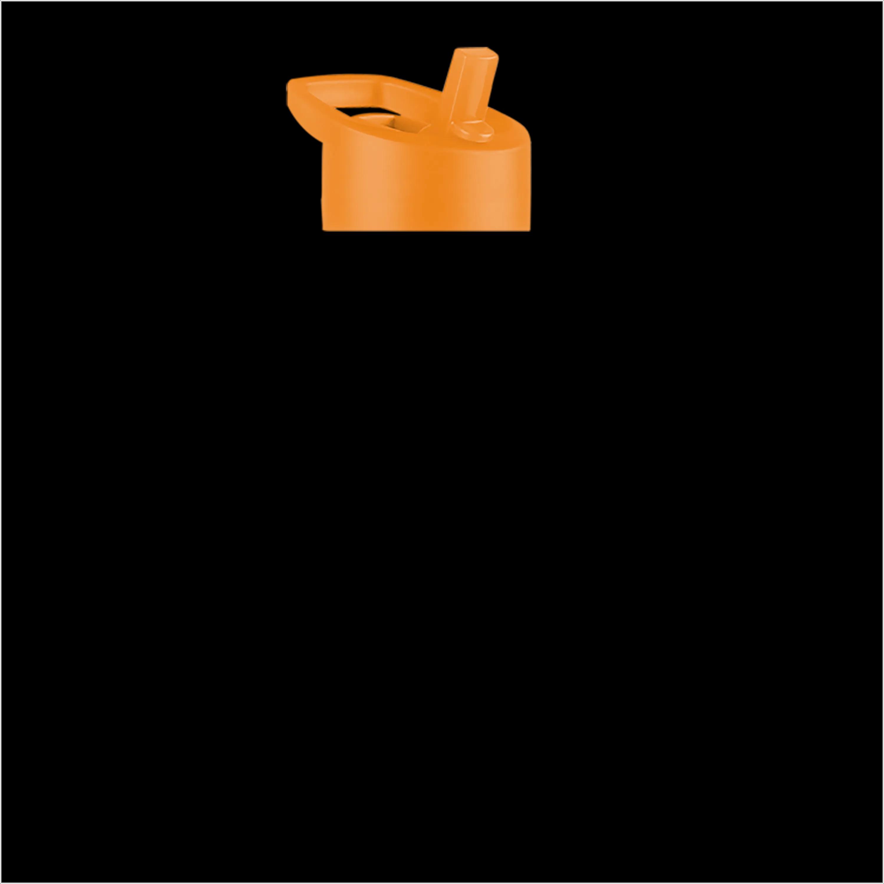 Garyline® Cadet Tritan® Bottle with Flip-Straw Lid - 18 oz. 69 of 174