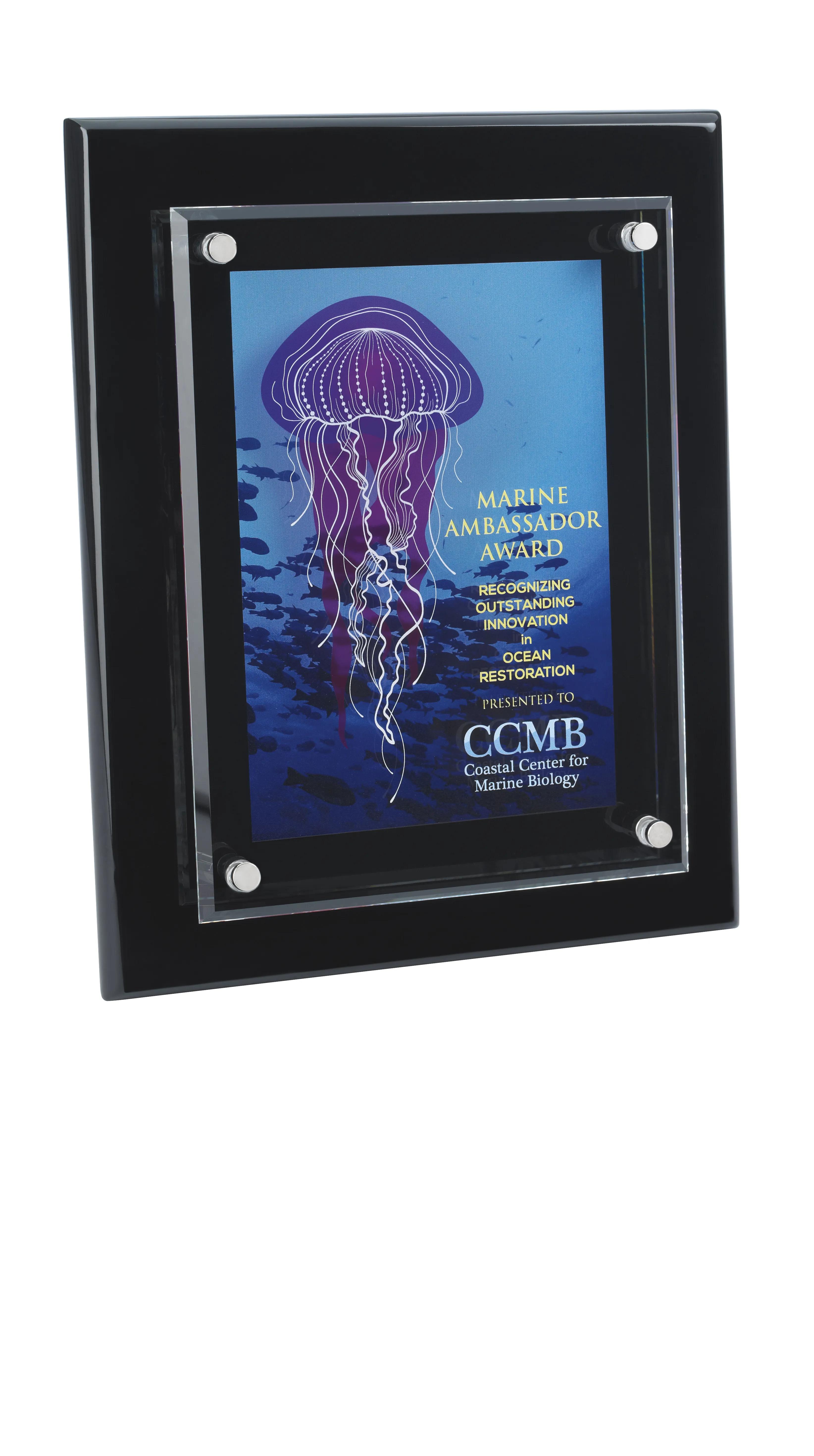 Floating Glass Plaque - 8" x 10" 7 of 9