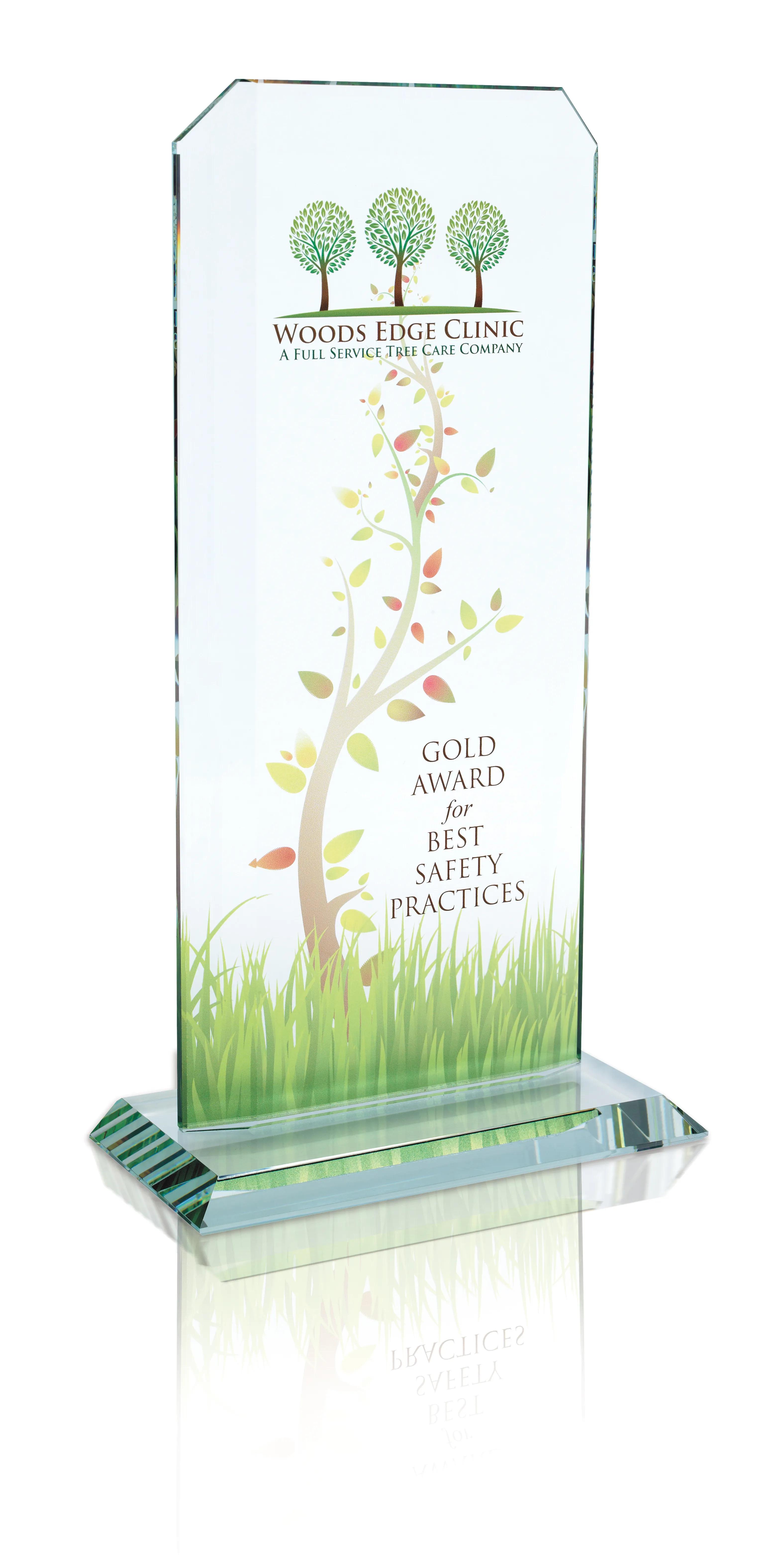 Starfire Echo Award - Large 7 of 8