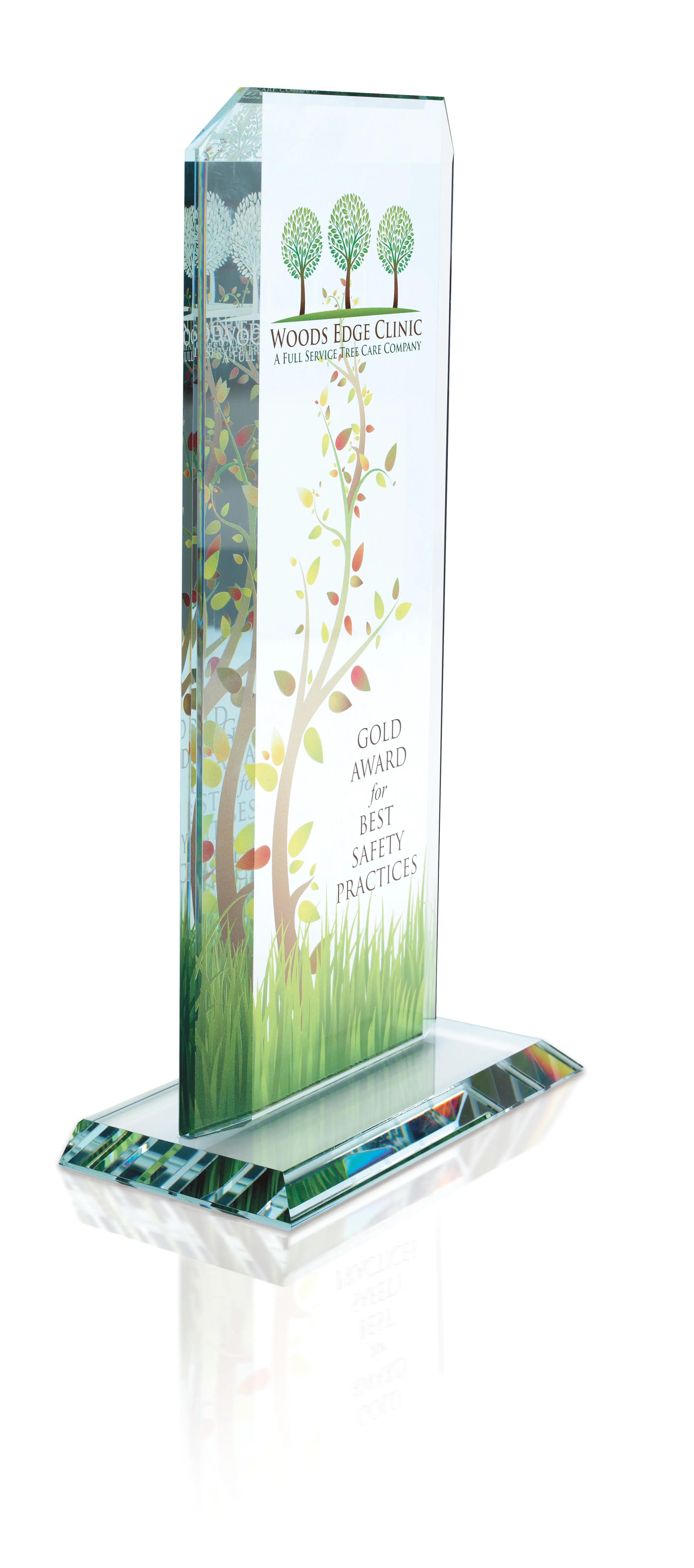Starfire Echo Award - Large 8 of 8