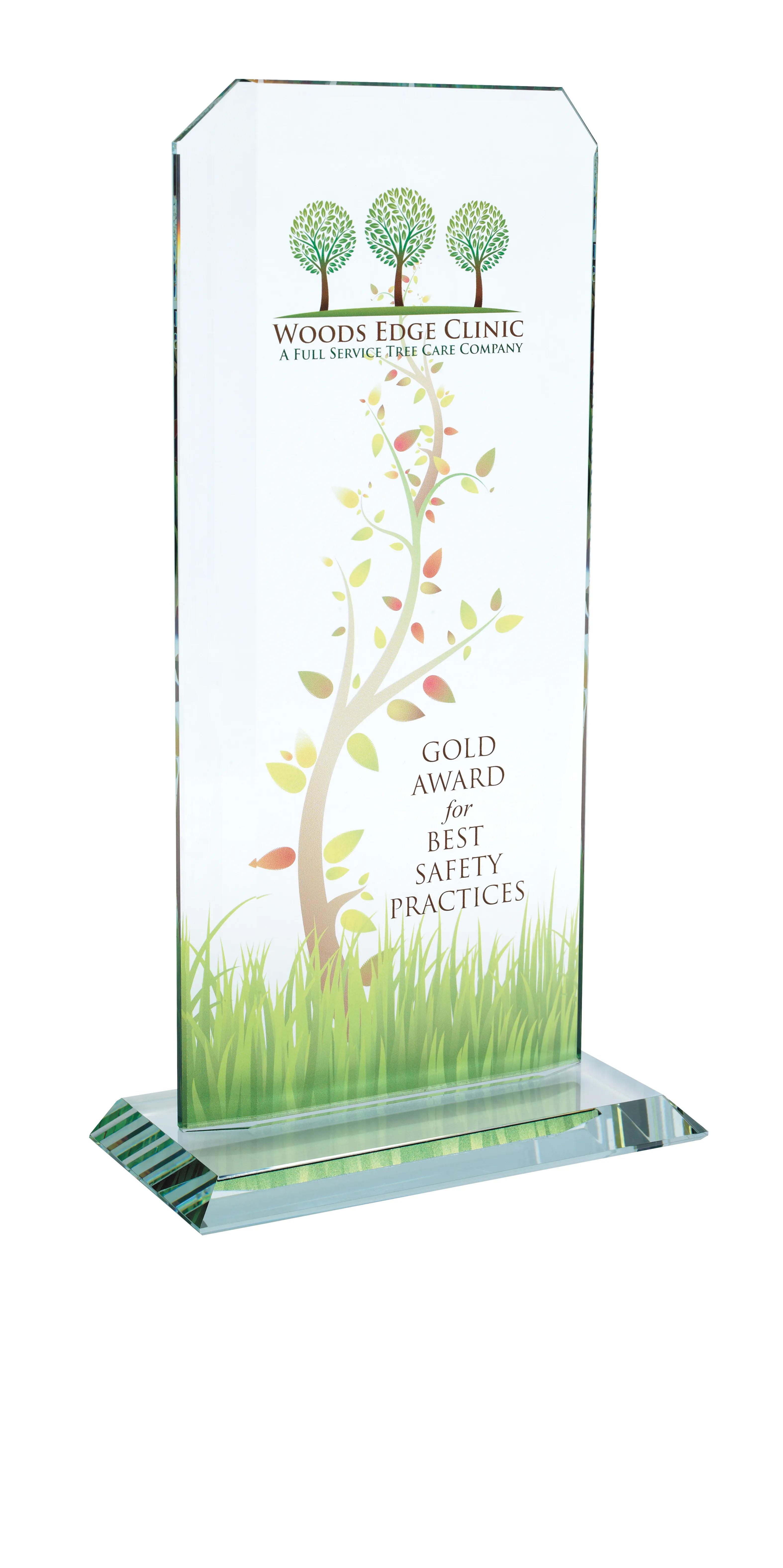 Starfire Echo Award - Large 3 of 8
