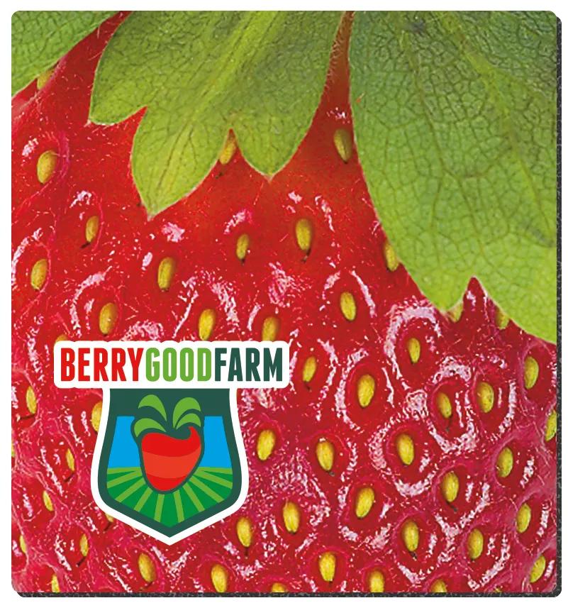 Good Value™ 1/8" Fabric Surface Mouse Pad (7-1/2" x 8") 6 of 10