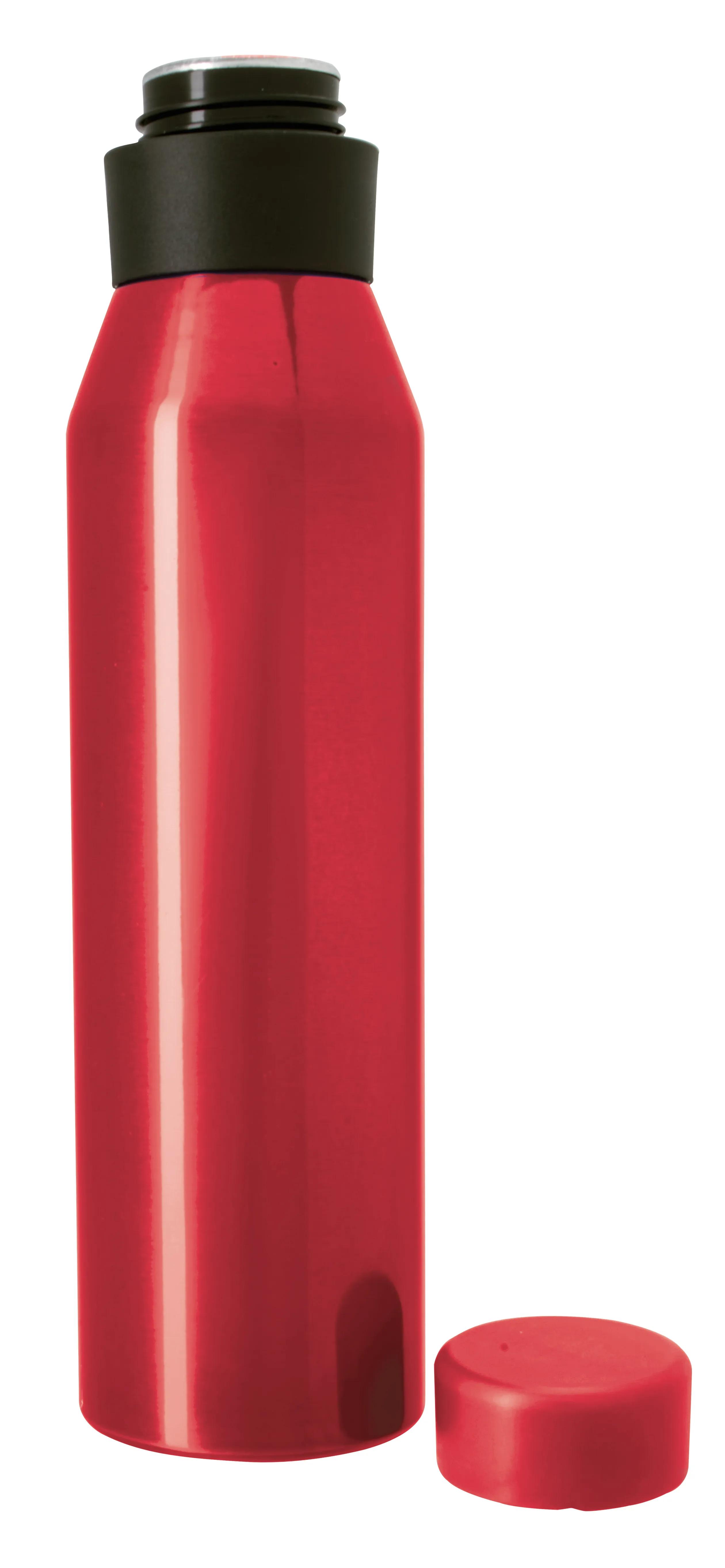 Nick Aluminum Bottle - 24 oz 20 of 25
