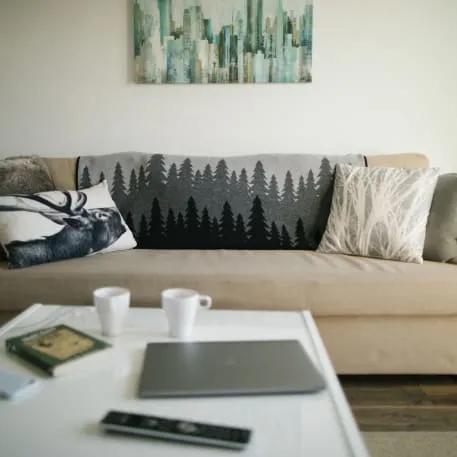 tentree Organic Cotton Juniper Blanket 2 of 6