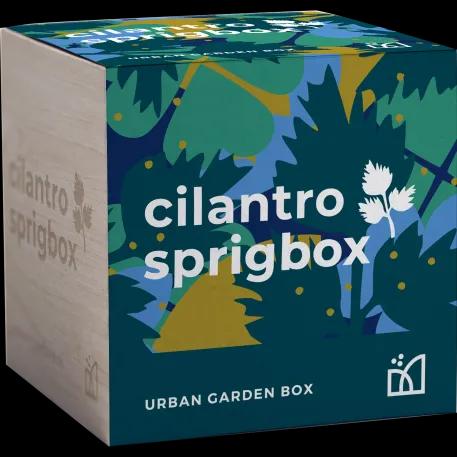 Sprigbox Cilantro Grow Kit 2 of 5