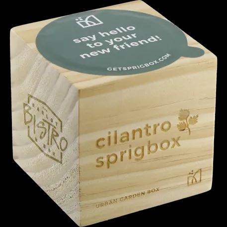 Sprigbox Cilantro Grow Kit 5 of 5