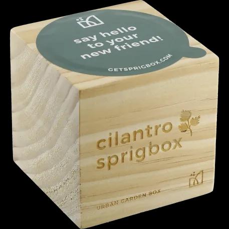 Sprigbox Cilantro Grow Kit 3 of 5