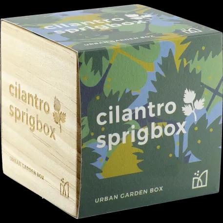 Sprigbox Cilantro Grow Kit 1 of 5