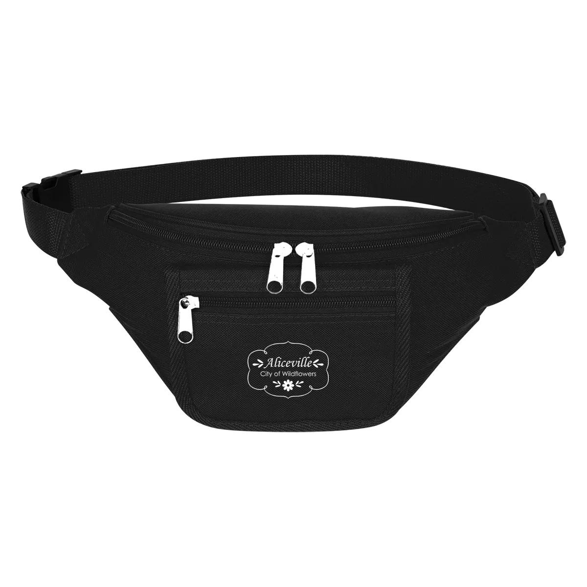 Fanny Pack With Organizer 1 of 3