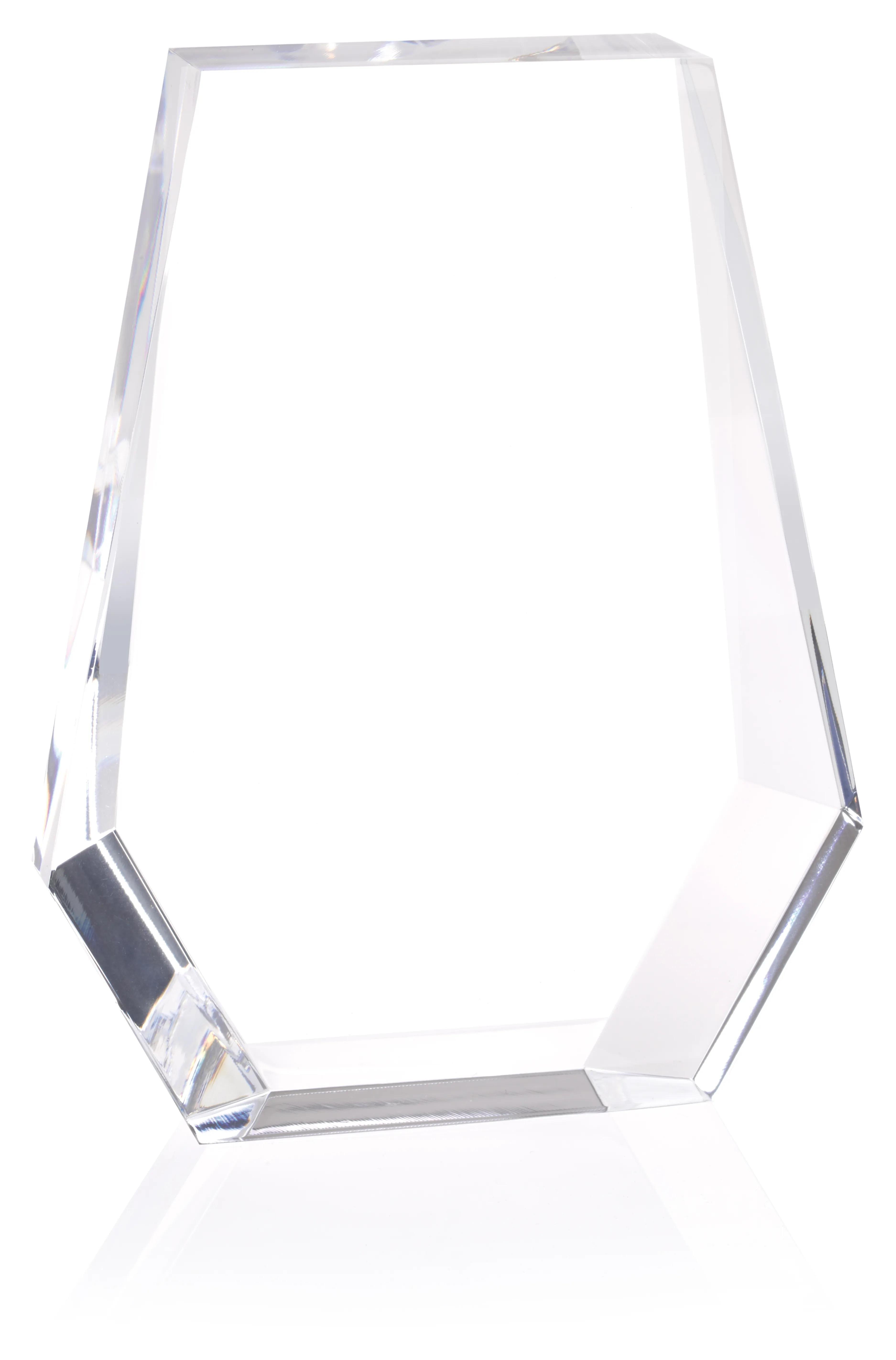 Acrylic Shield Award 3 of 11