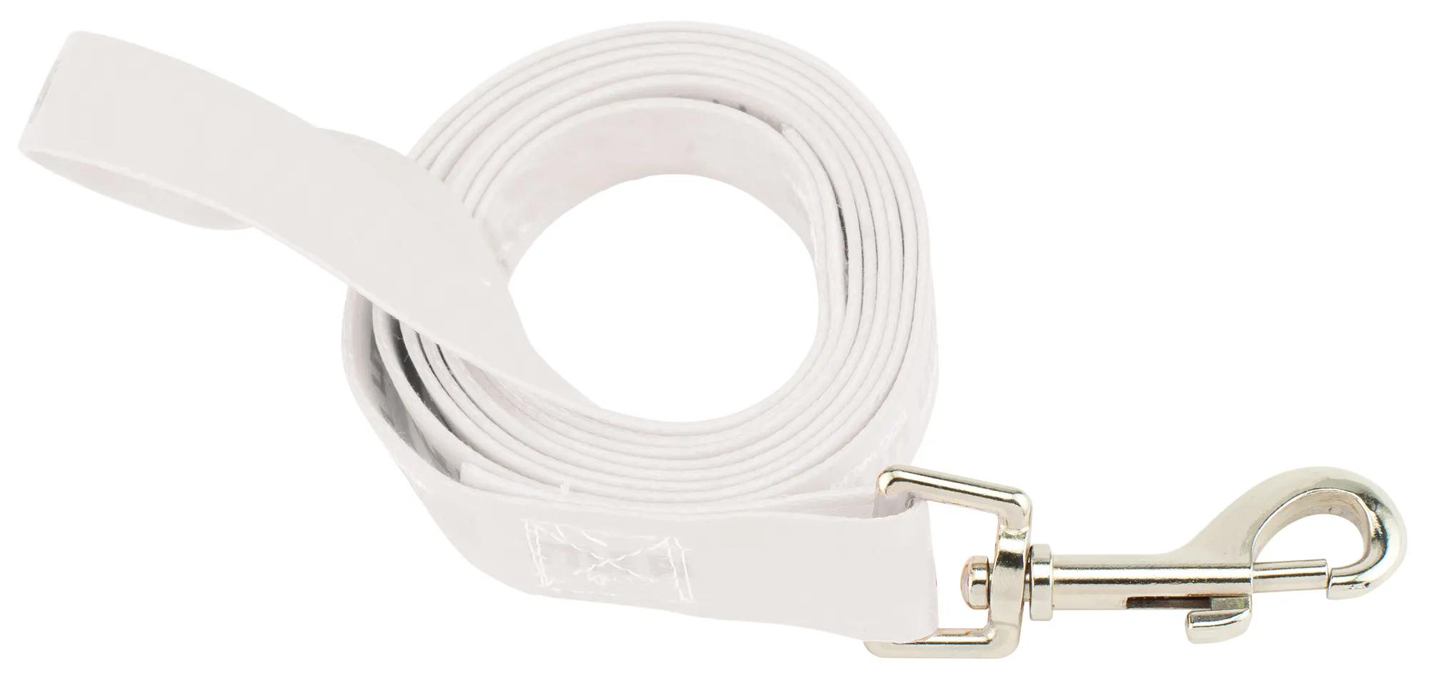 ‘Fine Print’ Pet Leash 2 of 4