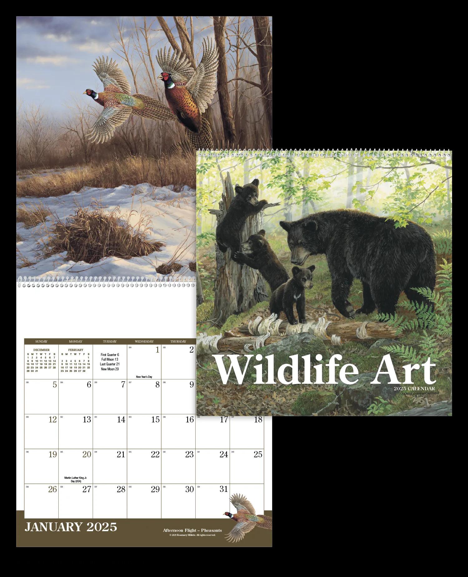 Wildlife Art 9 of 62