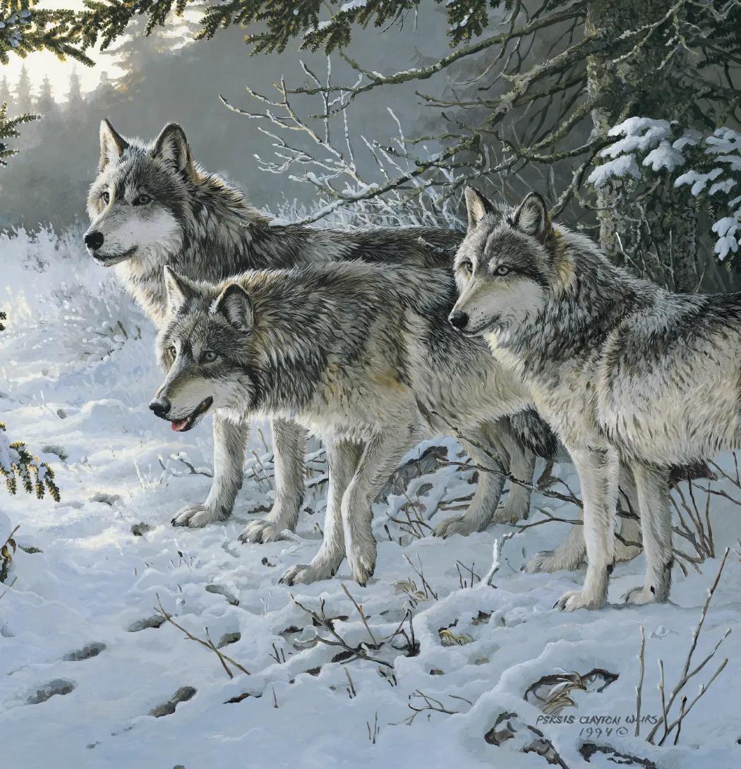 Wildlife Art 39 of 62