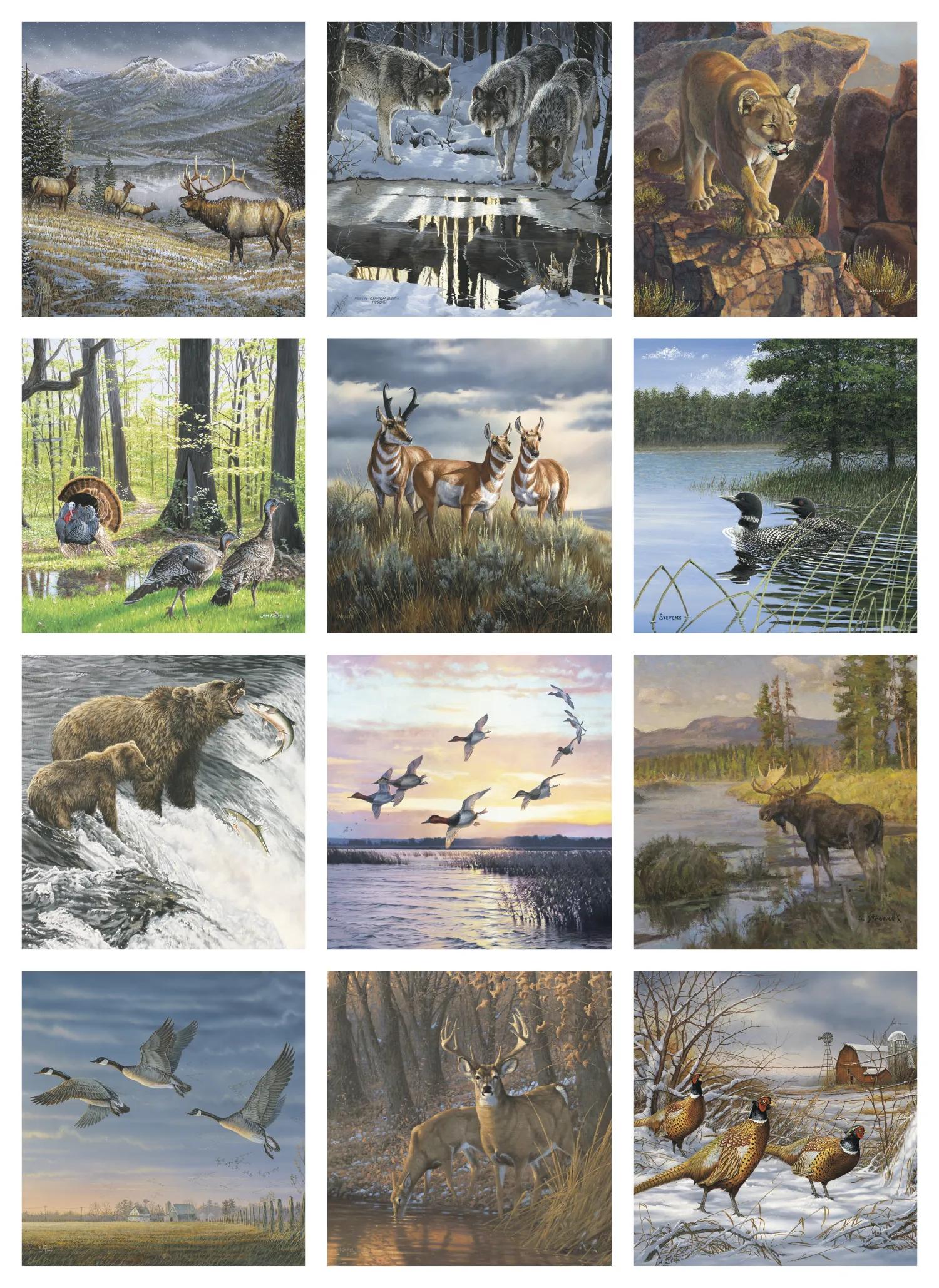 Wildlife Art 48 of 62