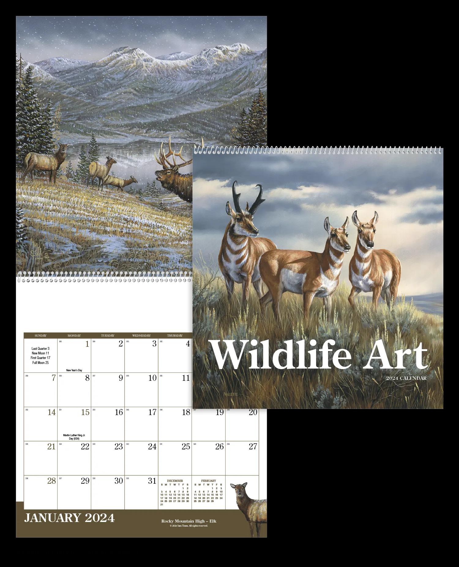 Wildlife Art 10 of 62
