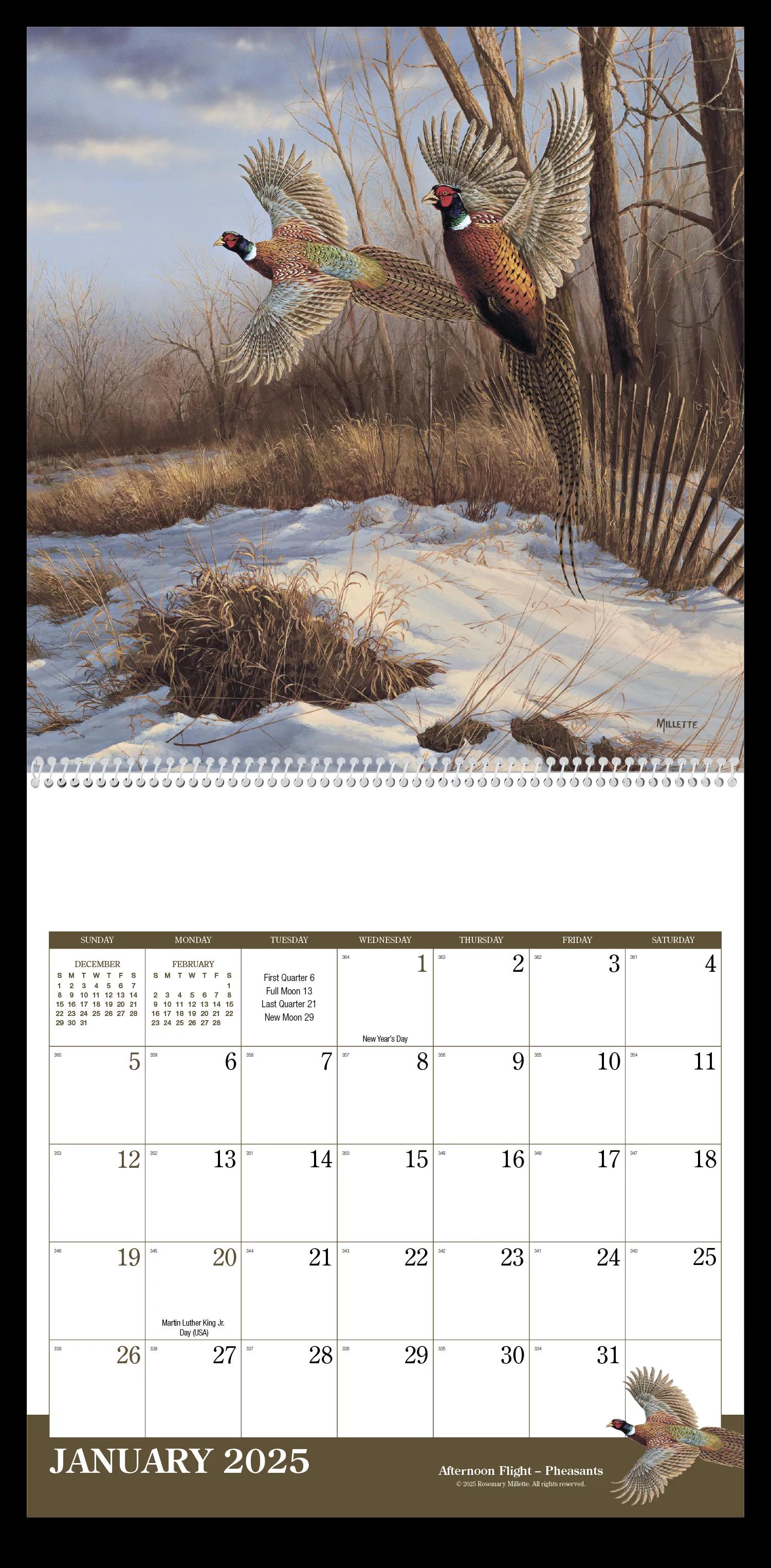 Wildlife Art 16 of 62