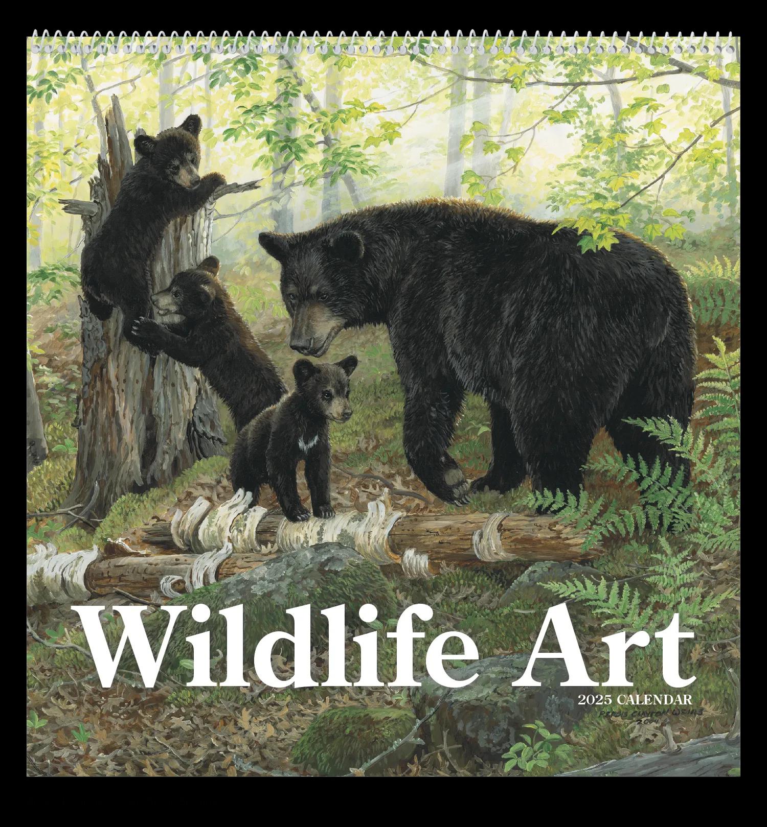 Wildlife Art 16 of 62