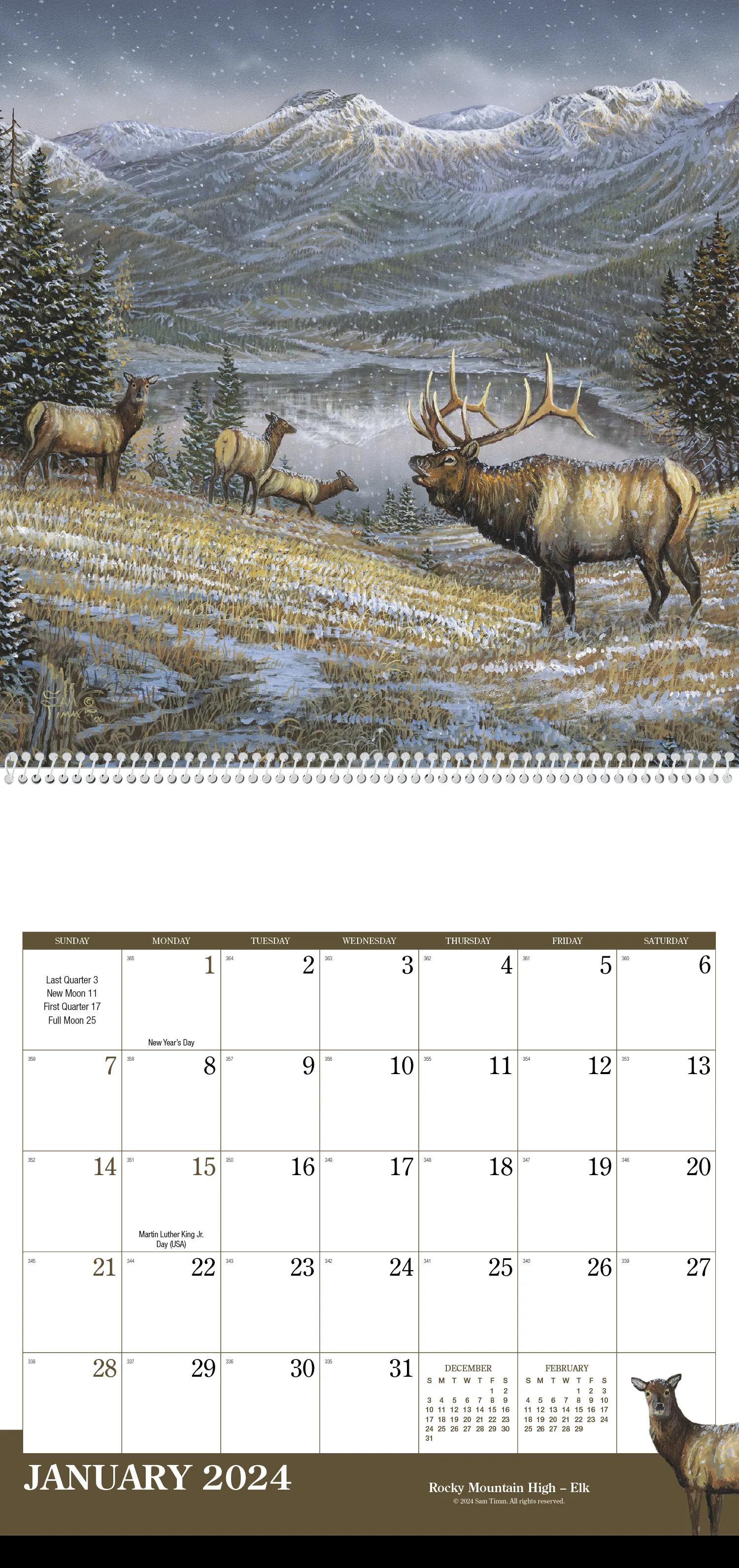 Wildlife Art 44 of 62