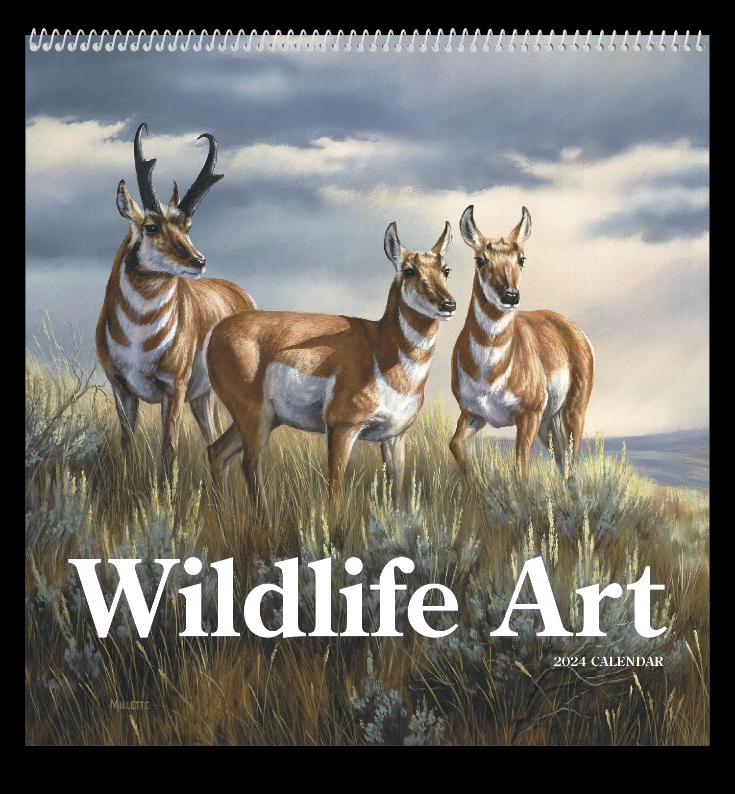 Wildlife Art 47 of 62