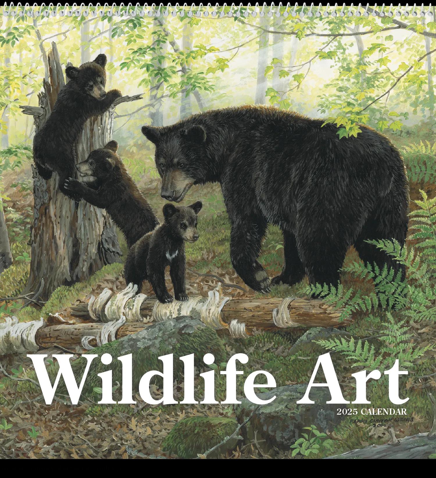 Wildlife Art 53 of 62