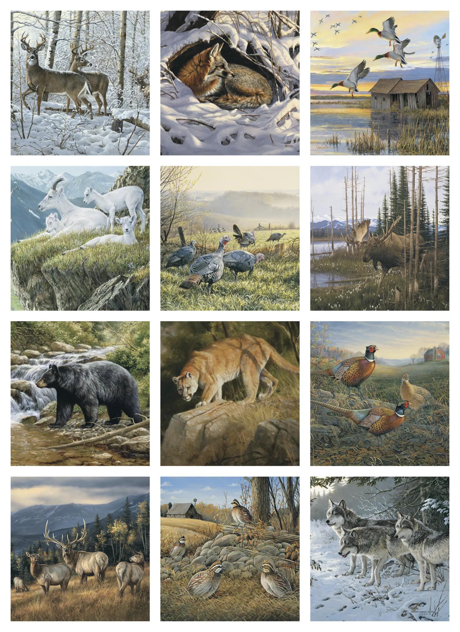 Wildlife Art 51 of 62