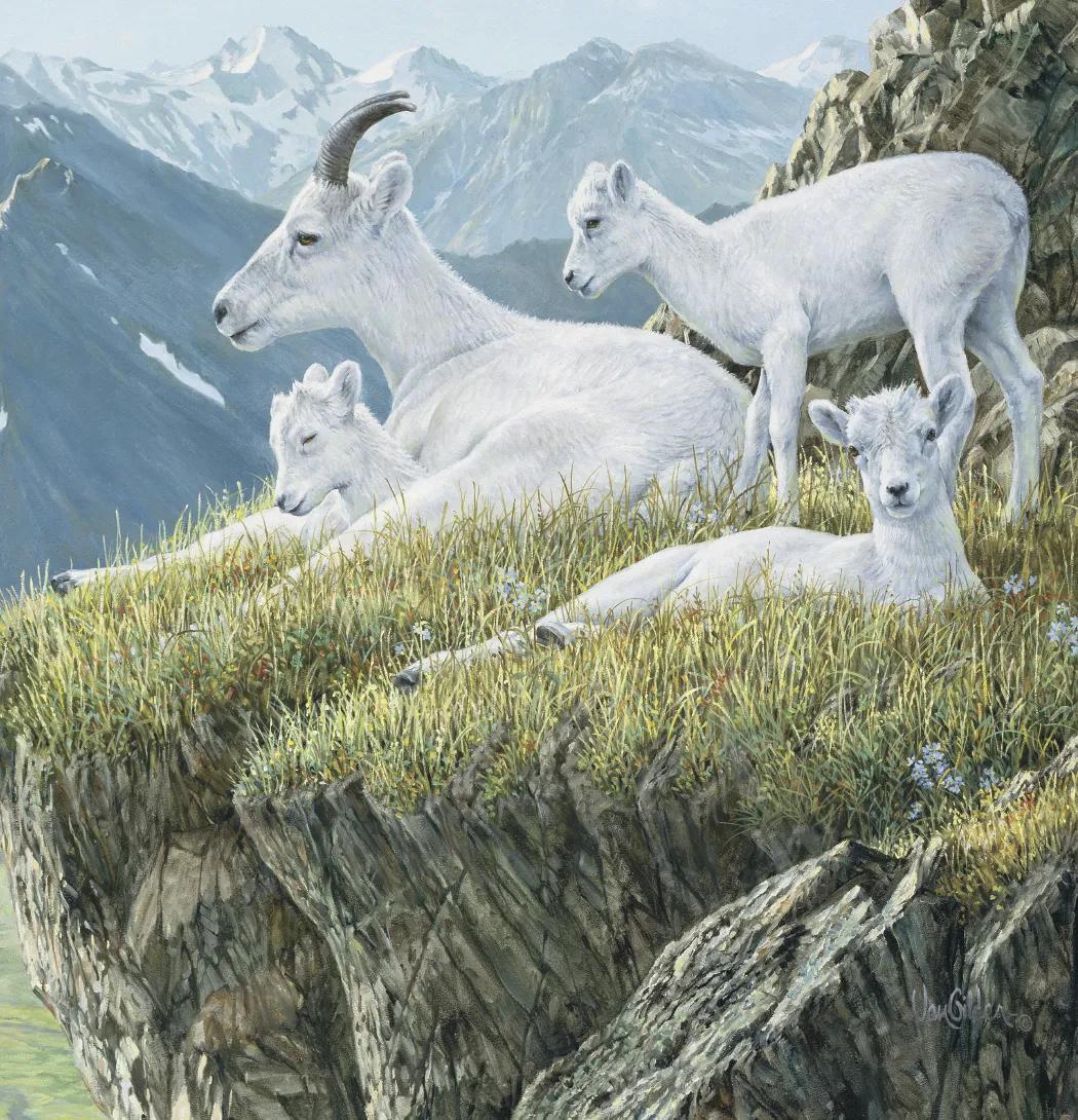 Wildlife Art 31 of 62