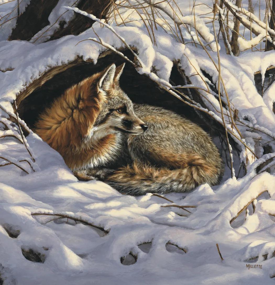 Wildlife Art 57 of 62