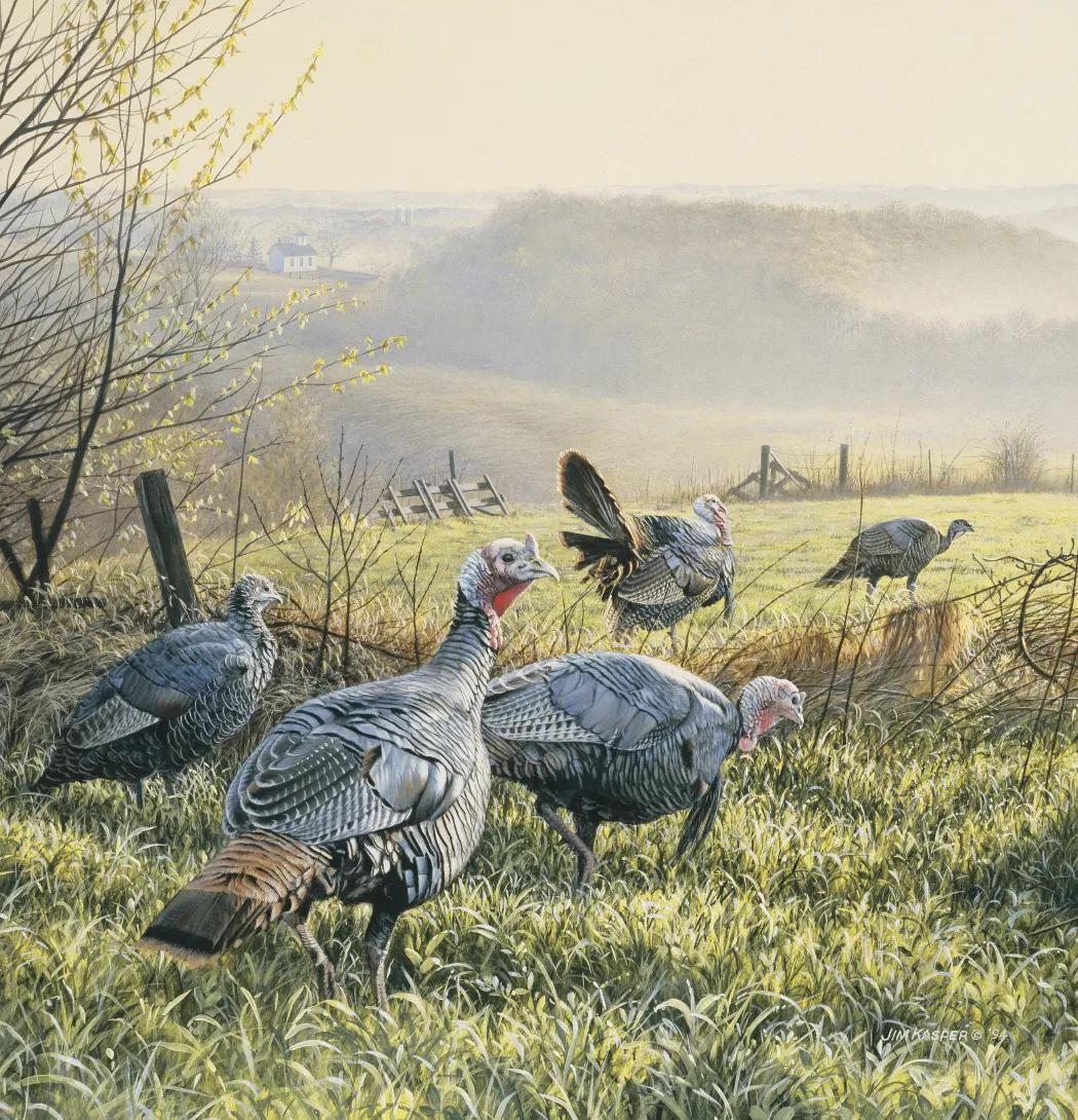 Wildlife Art 32 of 62