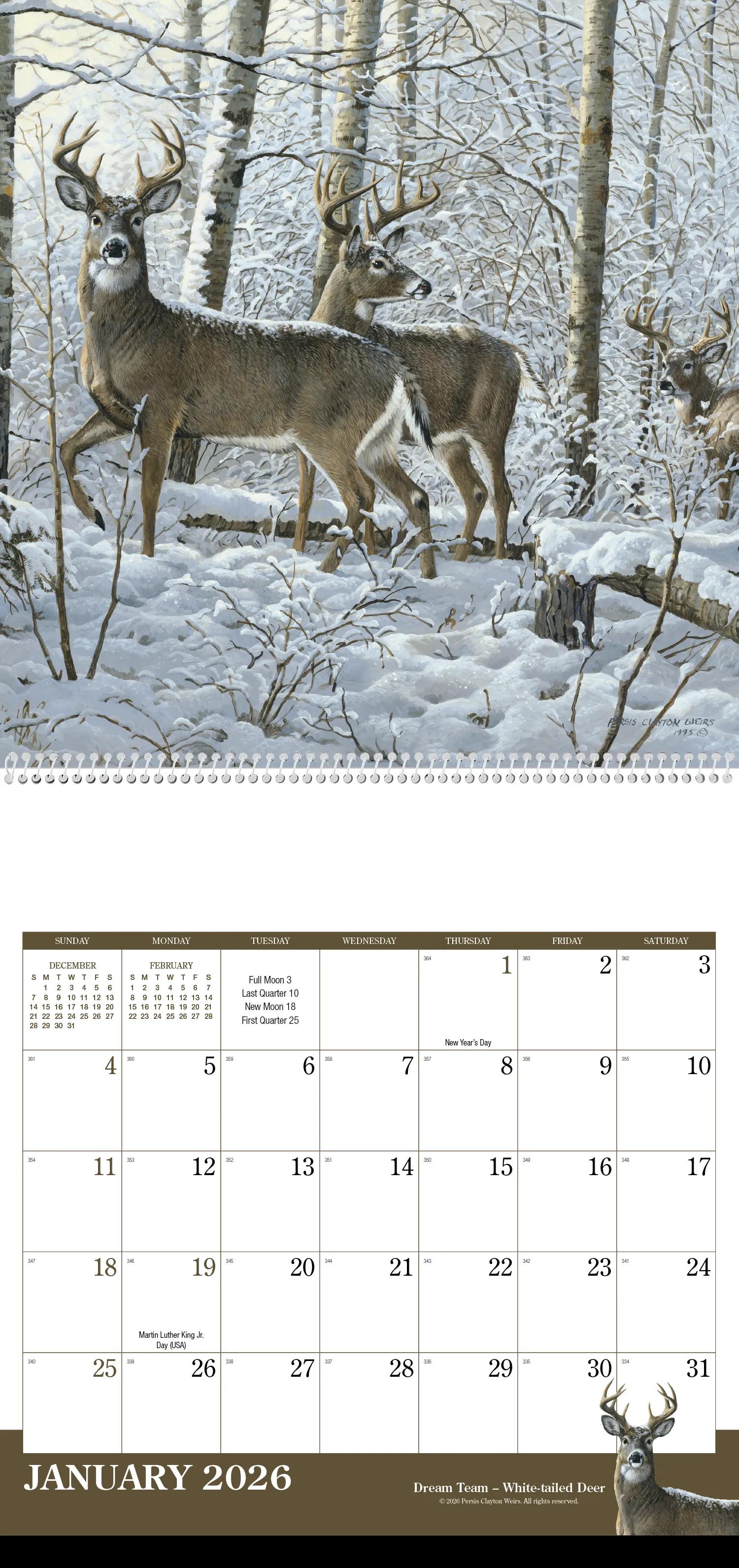 Wildlife Art 26 of 62