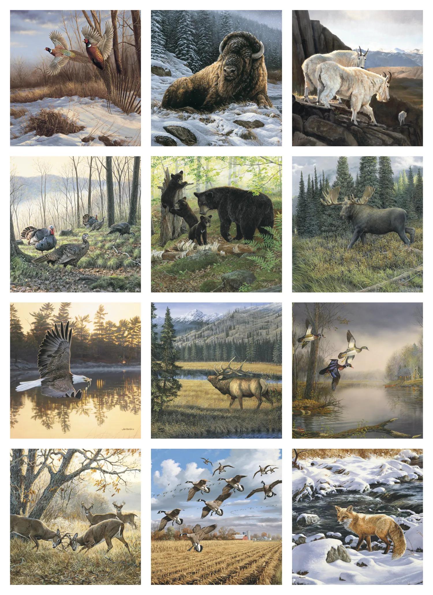 Wildlife Art 1 of 62