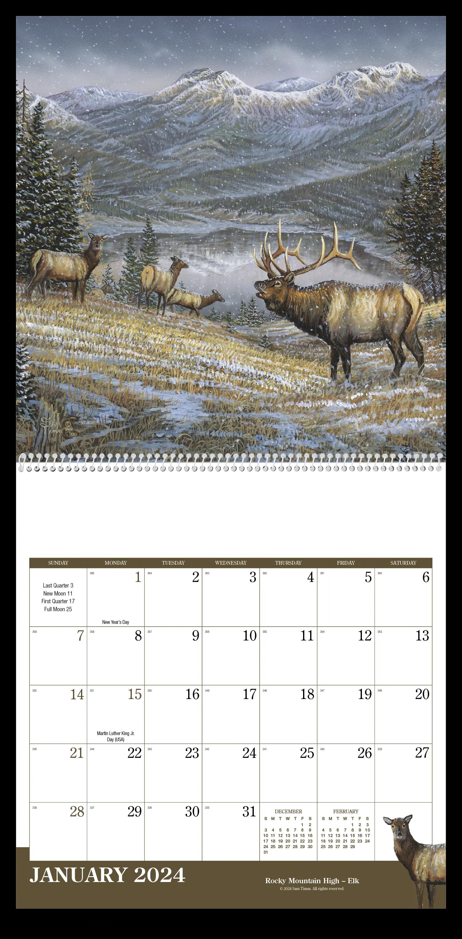 Wildlife Art 11 of 62