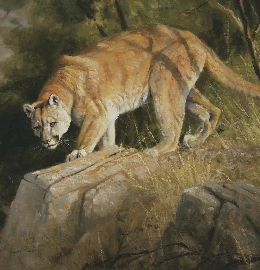 Wildlife Art 35 of 62