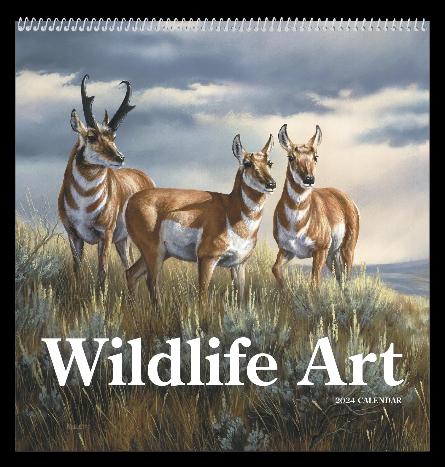 Wildlife Art 29 of 62