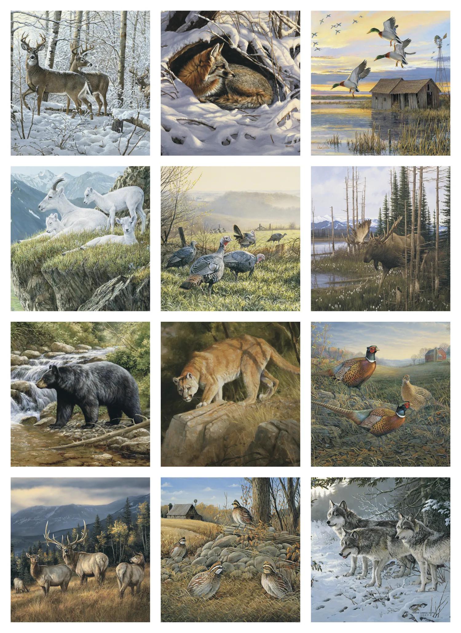 Wildlife Art 2 of 62