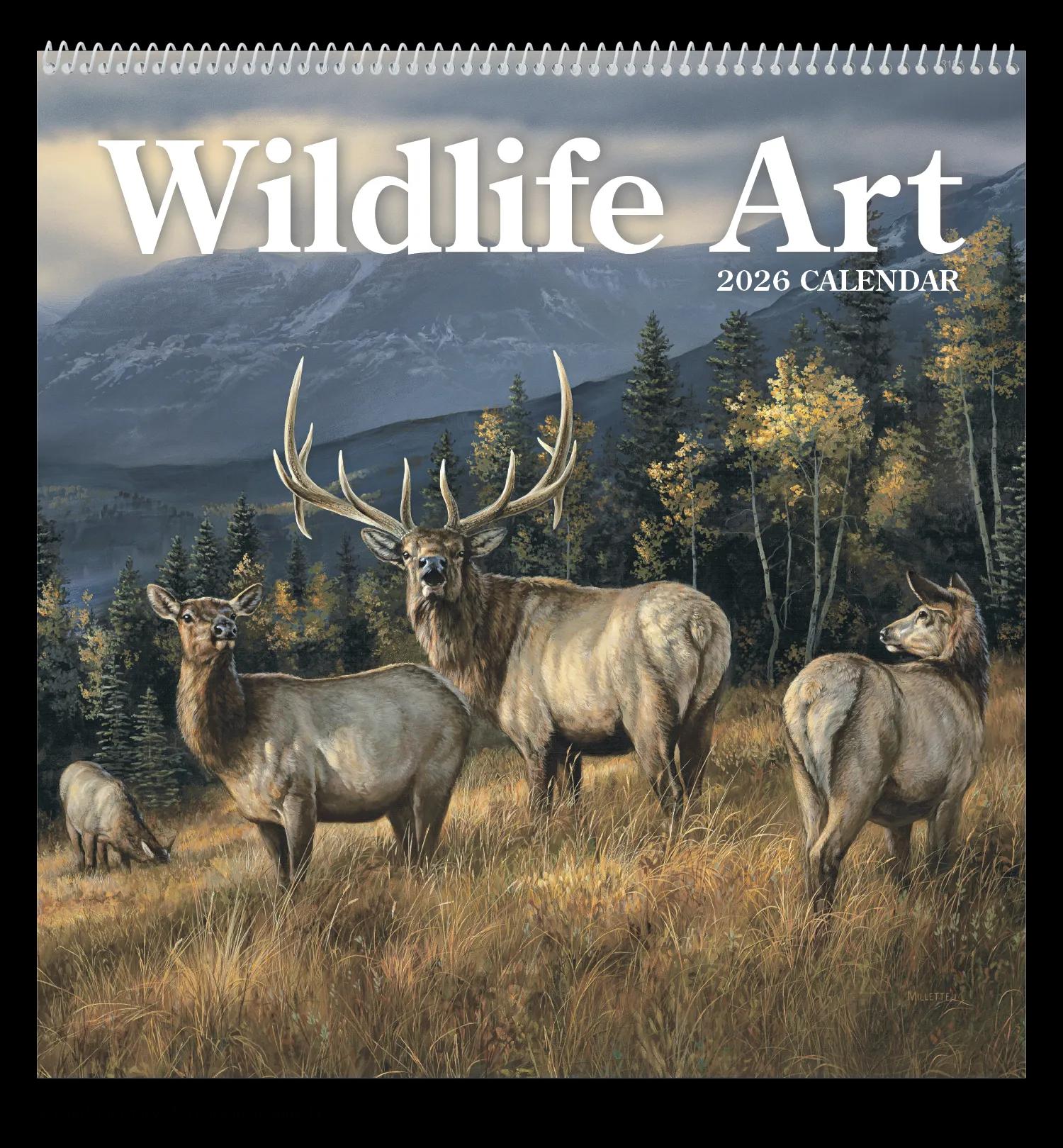 Wildlife Art 61 of 62