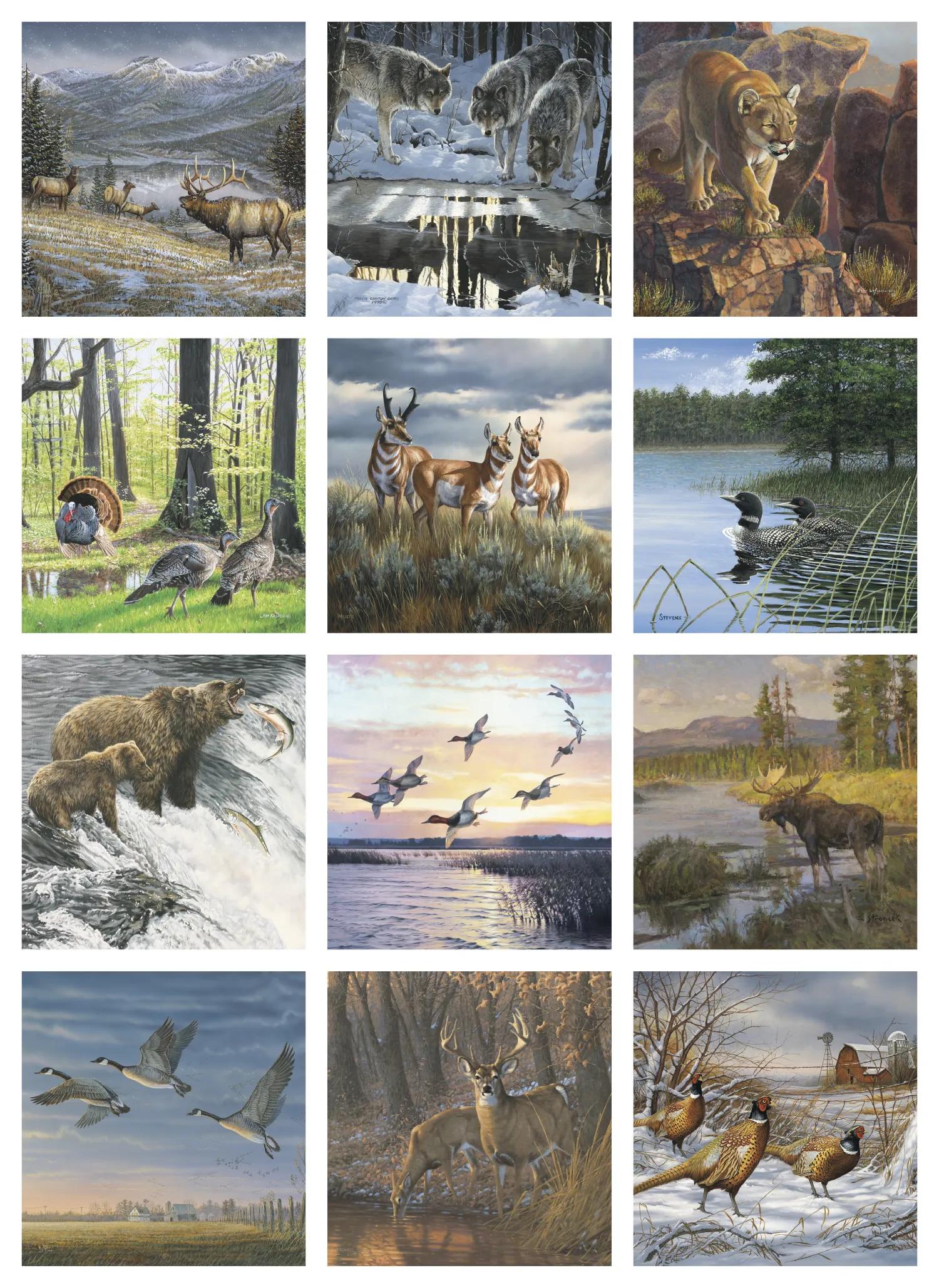 Wildlife Art 21 of 62