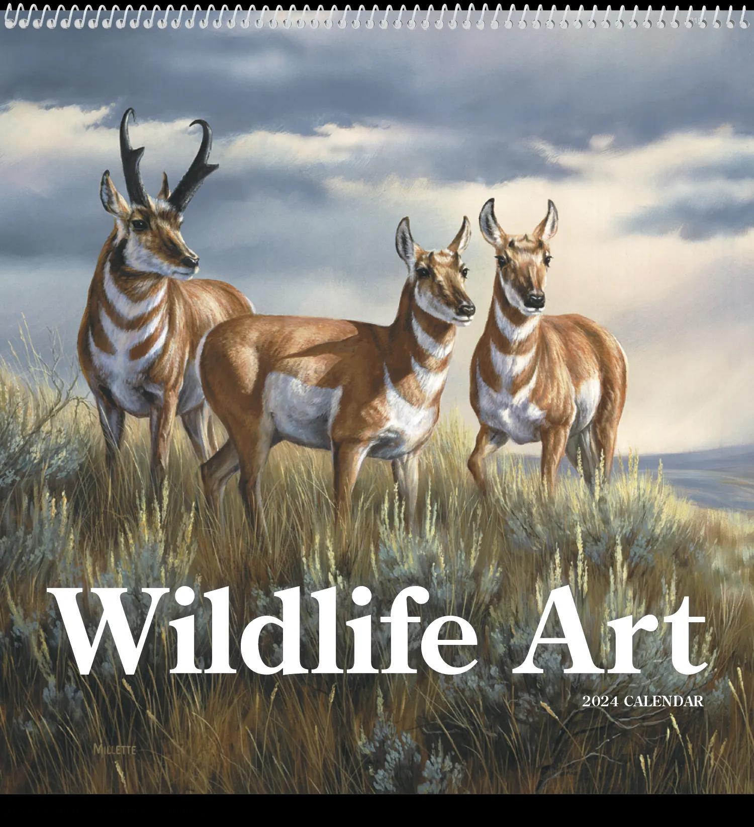 Wildlife Art 42 of 62