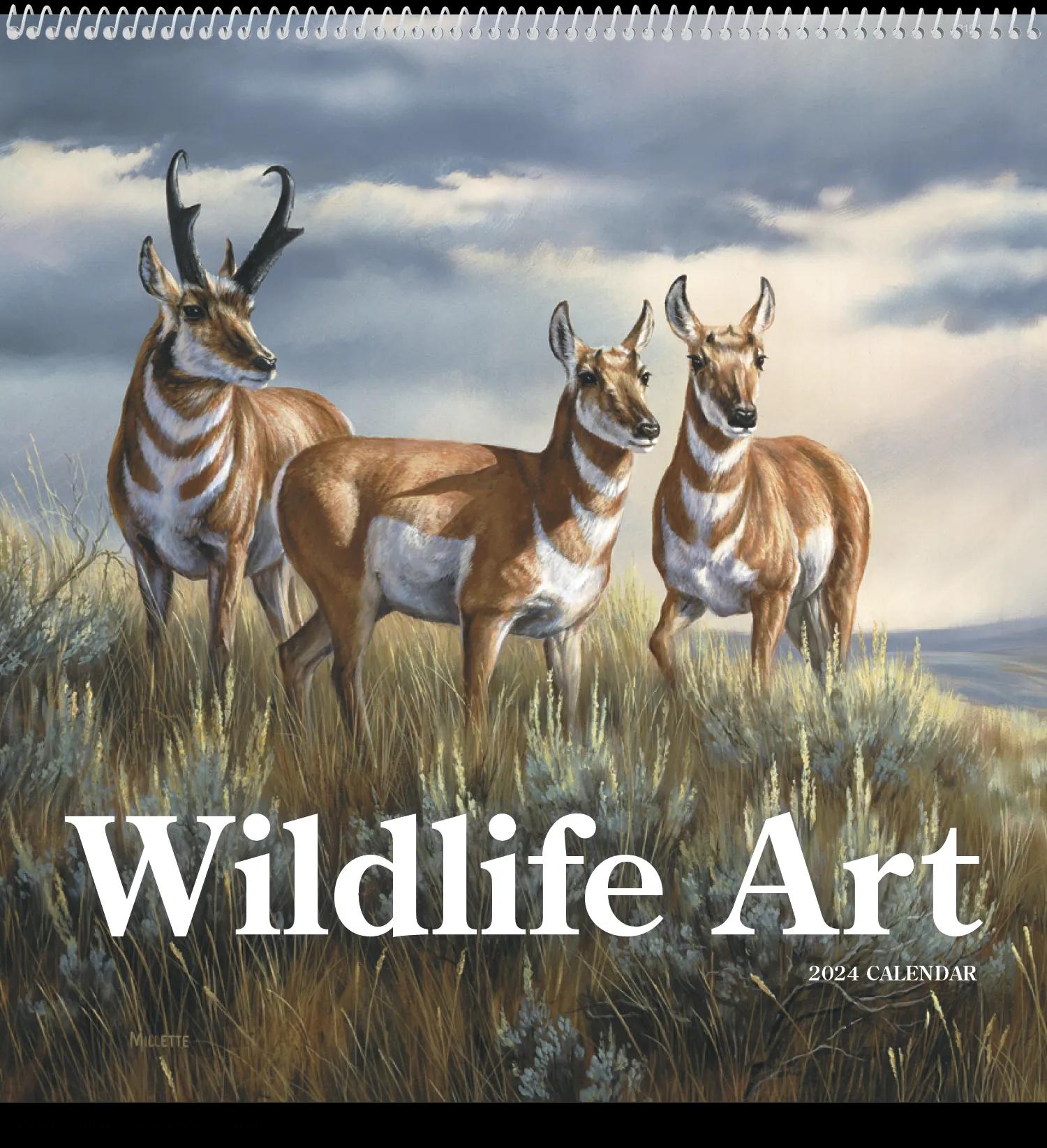 Wildlife Art 31 of 62