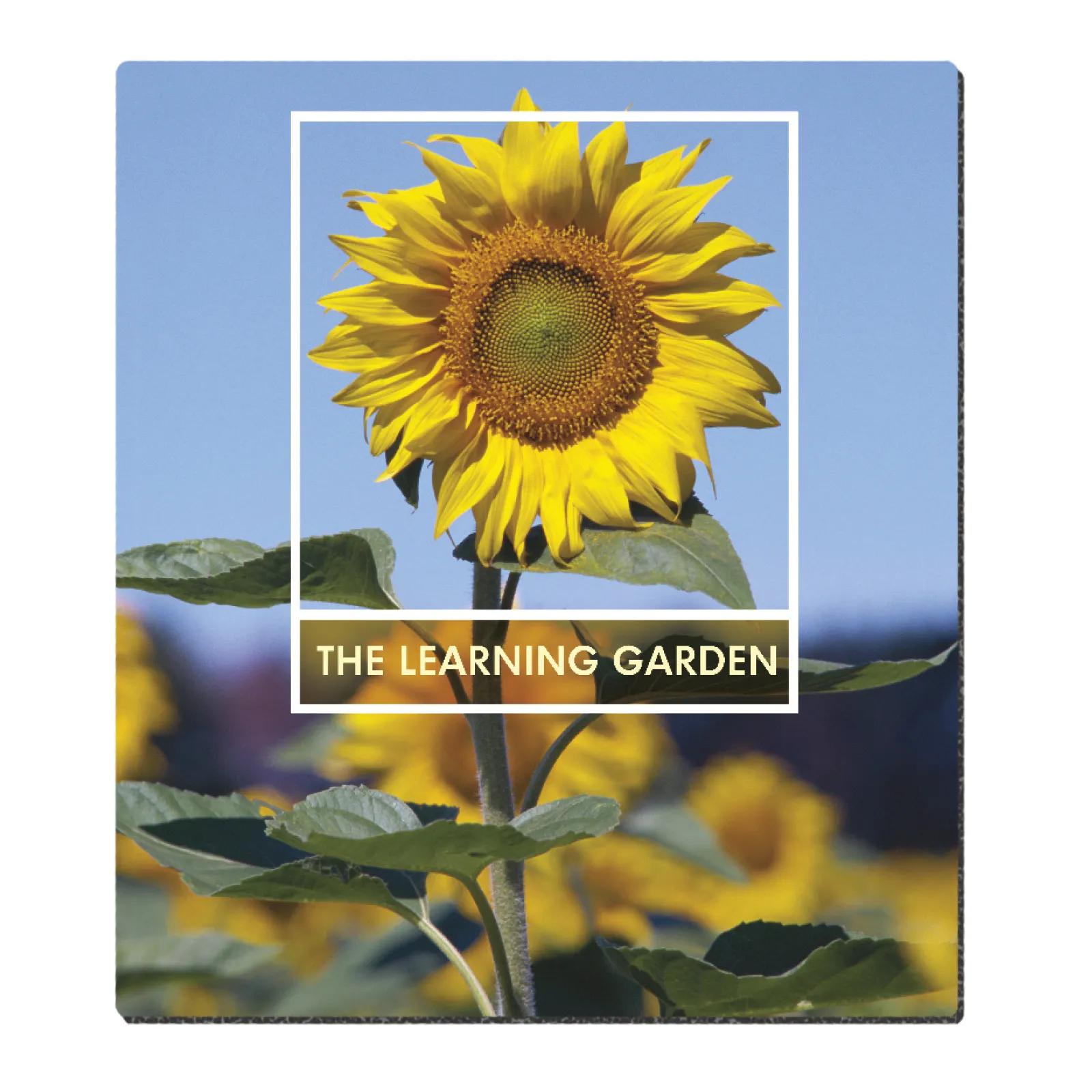 Good Value™ Ultra Thin Firm Mouse Pad (7-1/2" x 8-1/2") 3 of 6