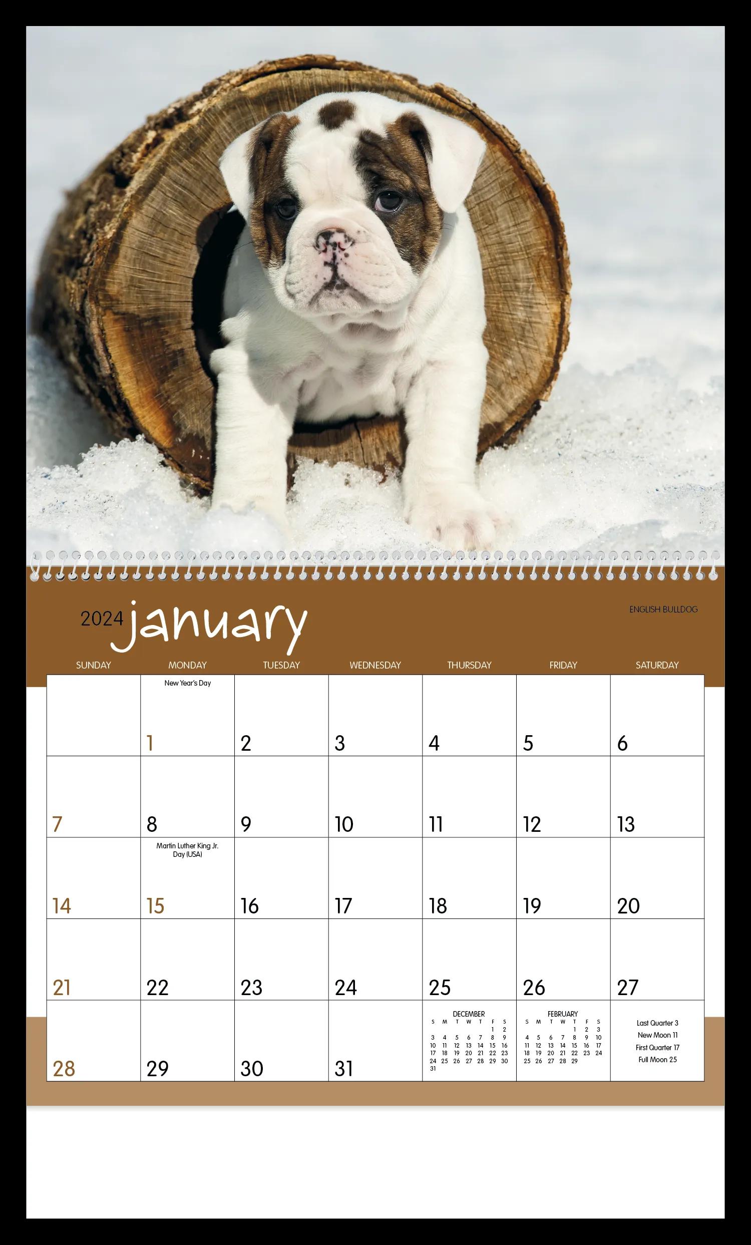 Puppies 7 of 84