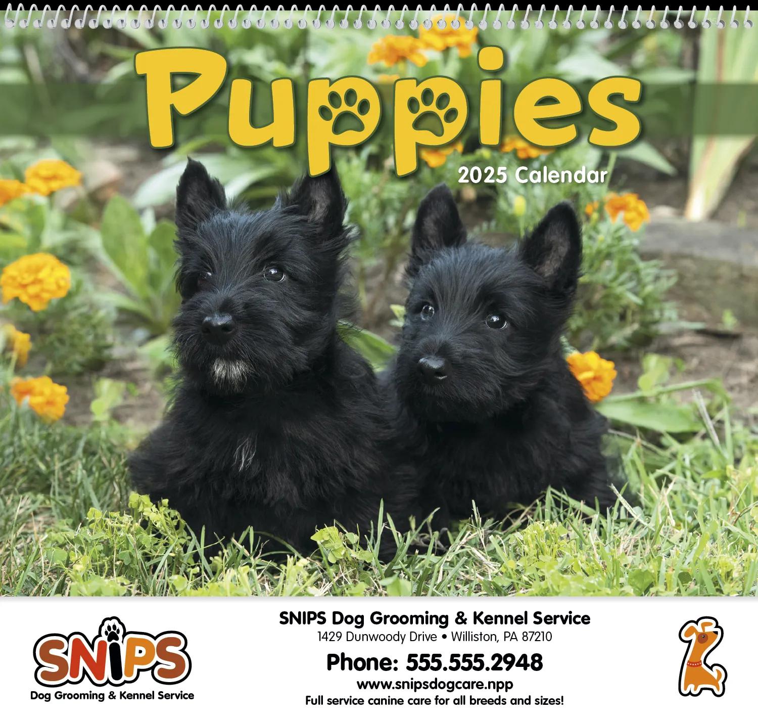 Puppies 58 of 84